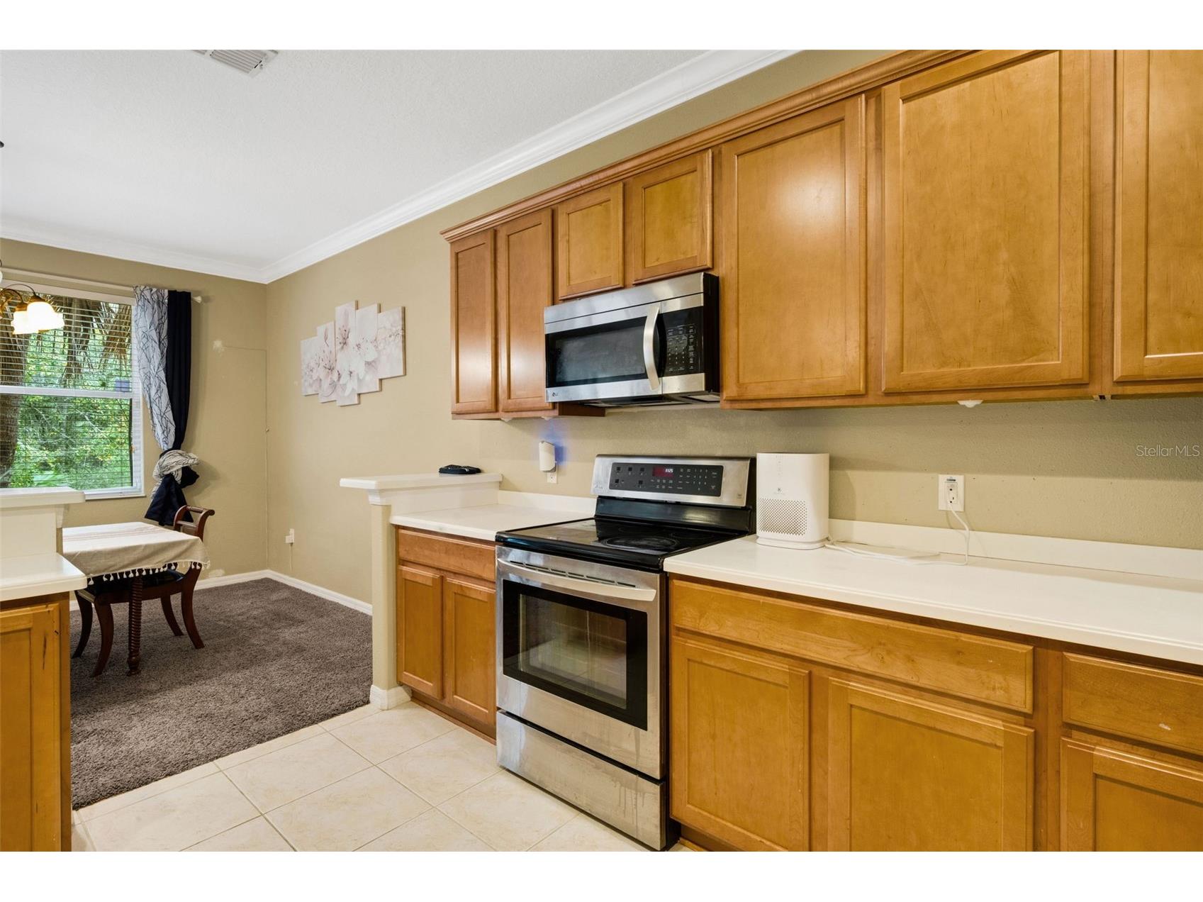 6335 Sedgeford Drive Lakeland FL 33811 L4959165 image9