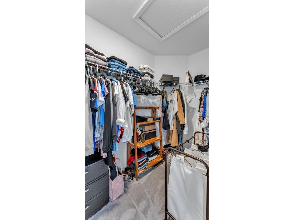 6336 Bar S Bar Trail Zephyrhills FL 33541 TB8452111 image19