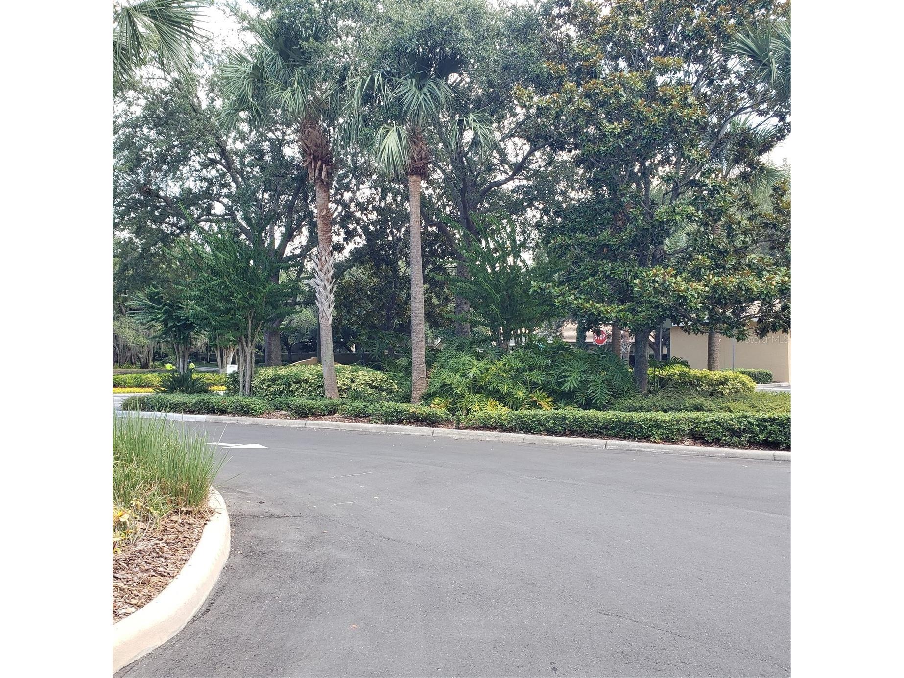 6336 Buford Street #306 Orlando FL 32835 - TURKEY LAKE O6399120 image46