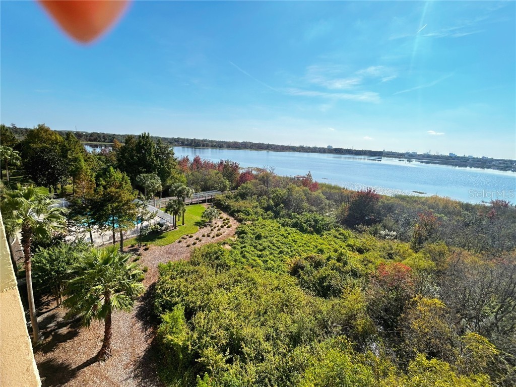 6336 Buford Street #605 Orlando FL 32835 - TURKEY LAKE O6363105 image38
