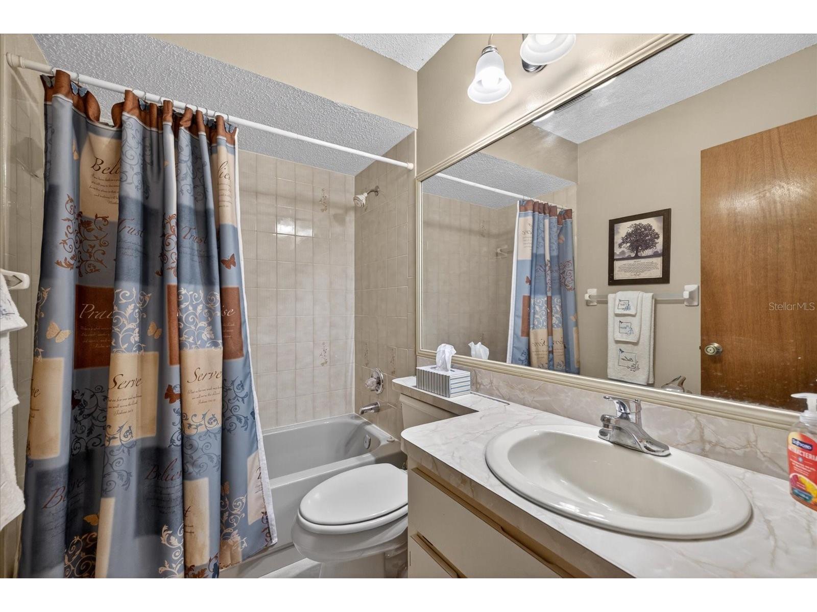 6336 Shane Lane New Port Richey FL 34653 W7885622 image12