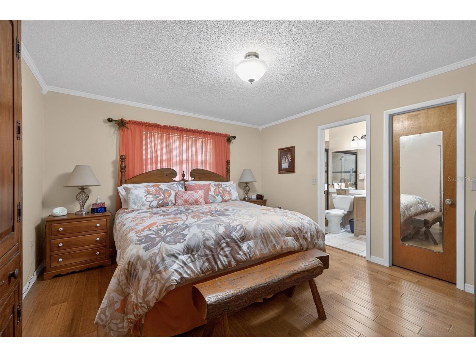 6336 Shane Lane New Port Richey FL 34653 W7885622 image5