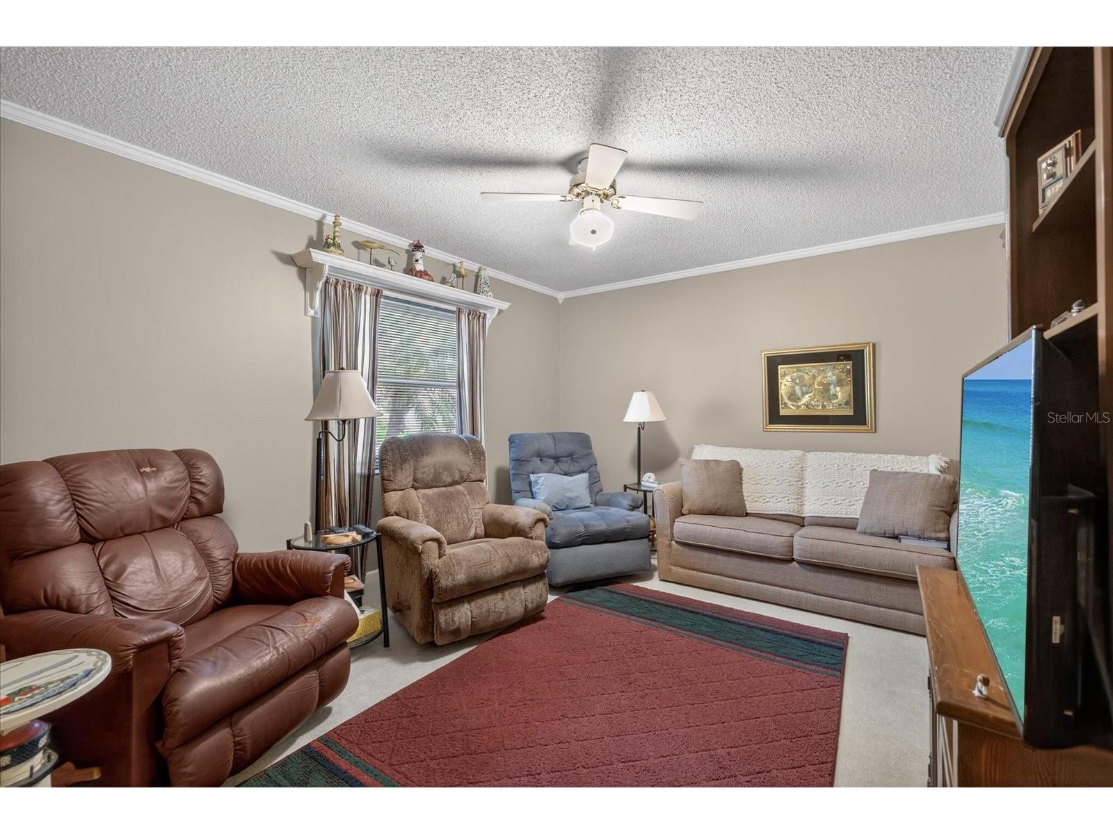 6336 Shane Lane New Port Richey FL 34653 W7885622 image8