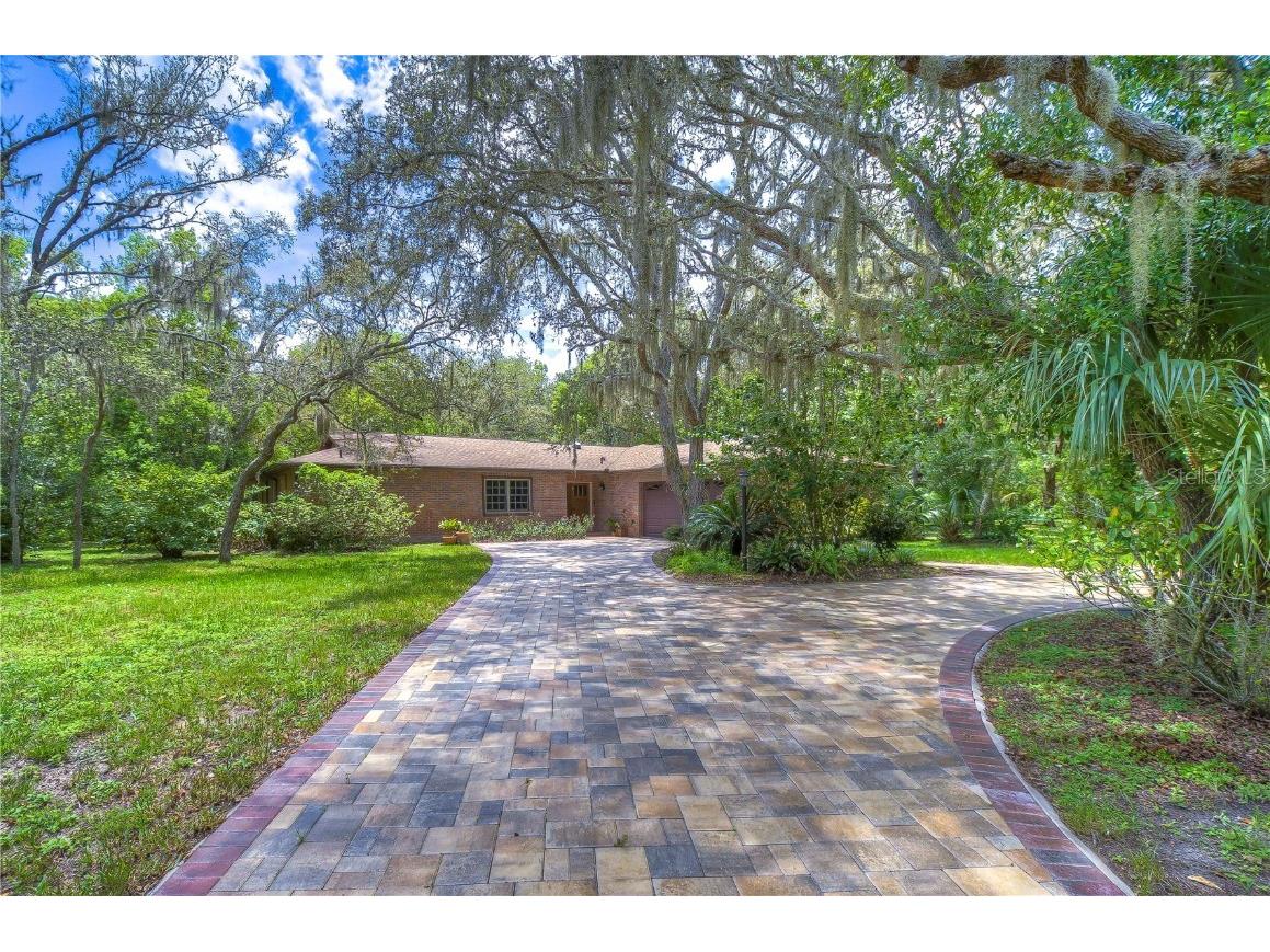 6336 Summerfield Loop New Port Richey FL 34655 T3462993 image1