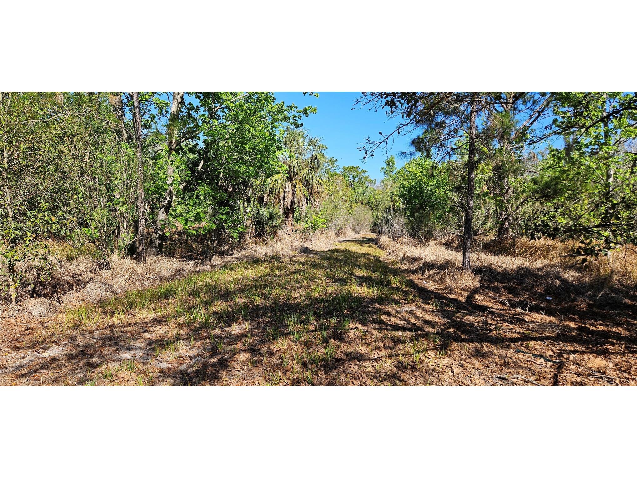 6336 Timberlane Road Lake Wales FL 33898 L4959888 image3