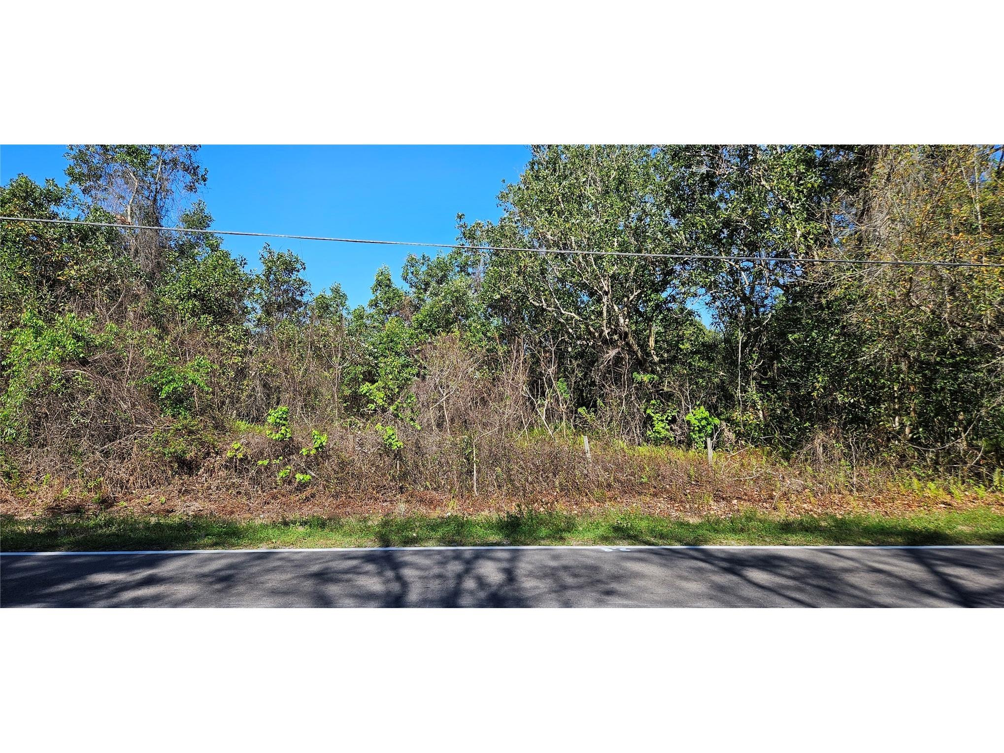 6336 Timberlane Road Lake Wales FL 33898 L4959888 image5