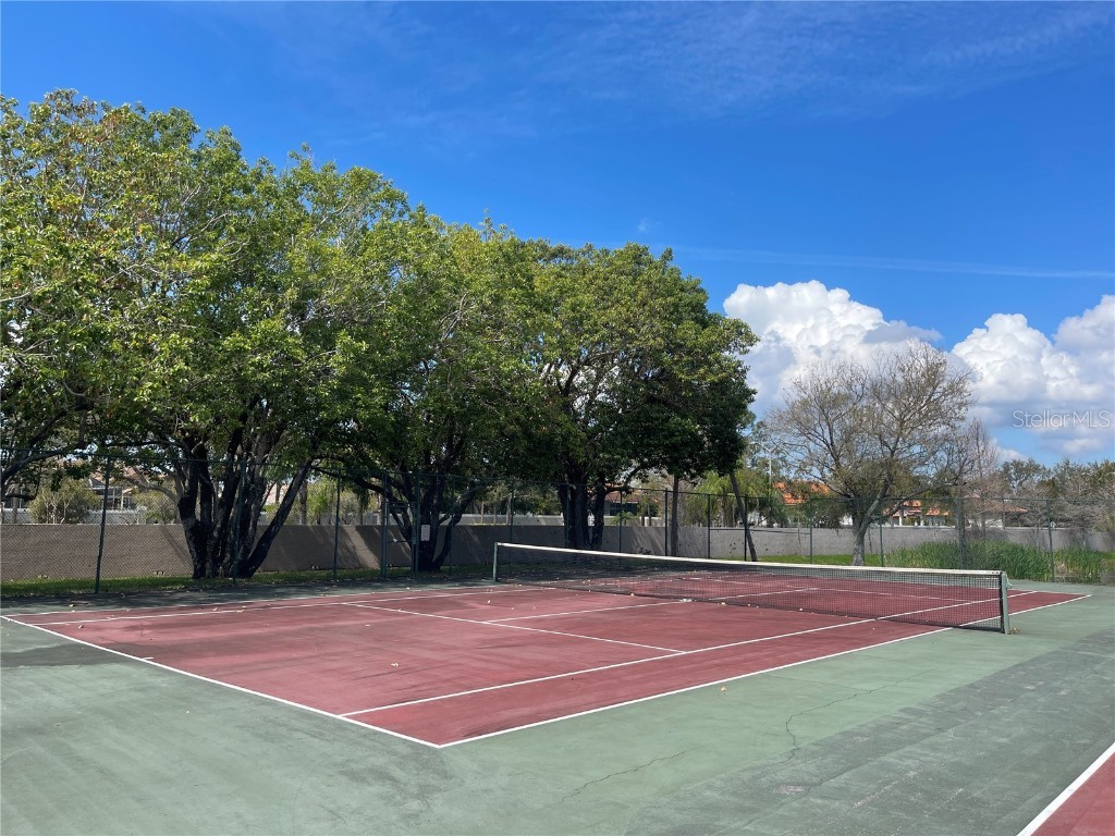 6338 Bayside Key Drive Tampa FL 33615 TB8443784 image23