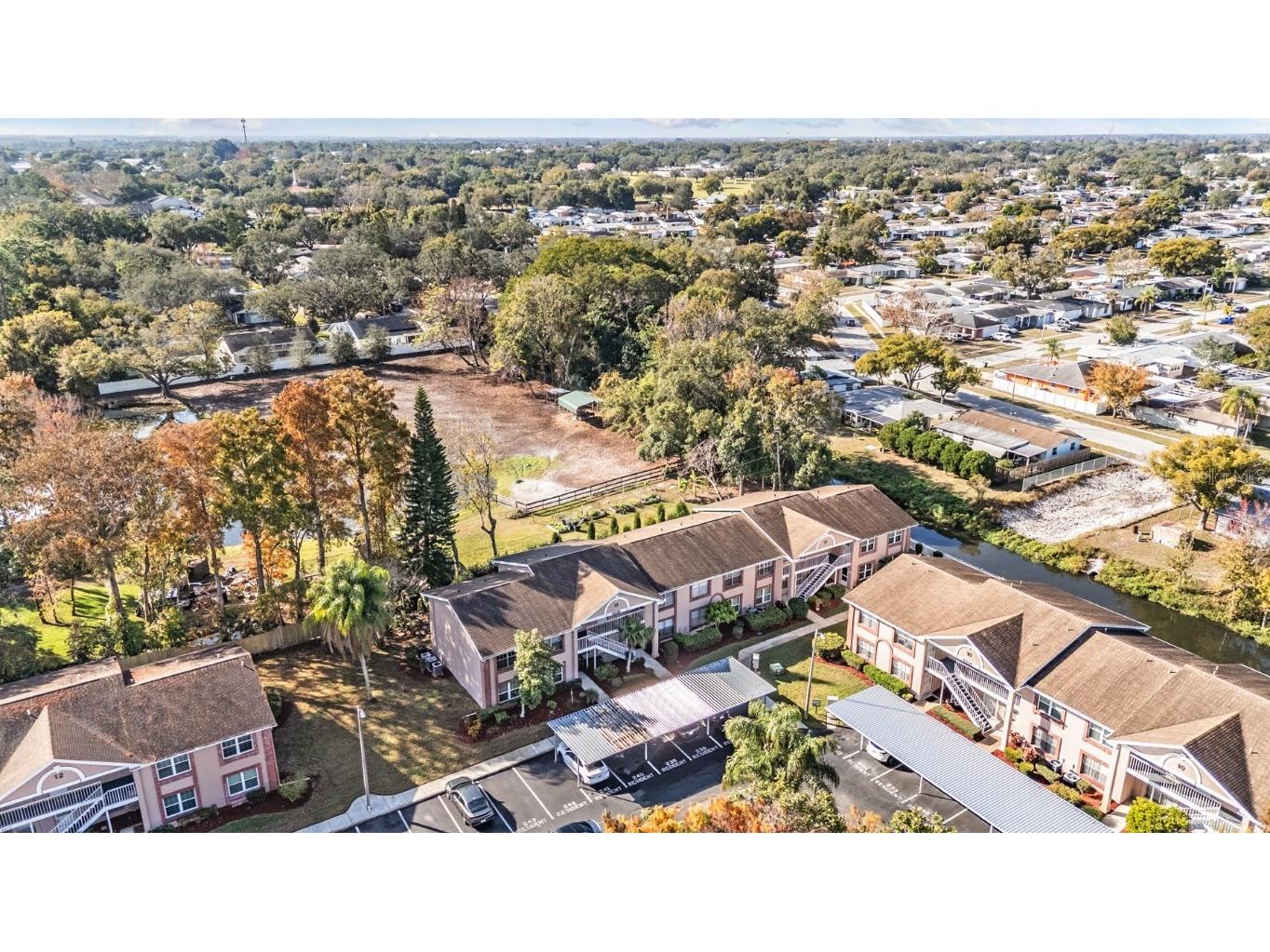 6338 Spring Flower Drive #21 New Port Richey FL 34653 TB8460246 image29