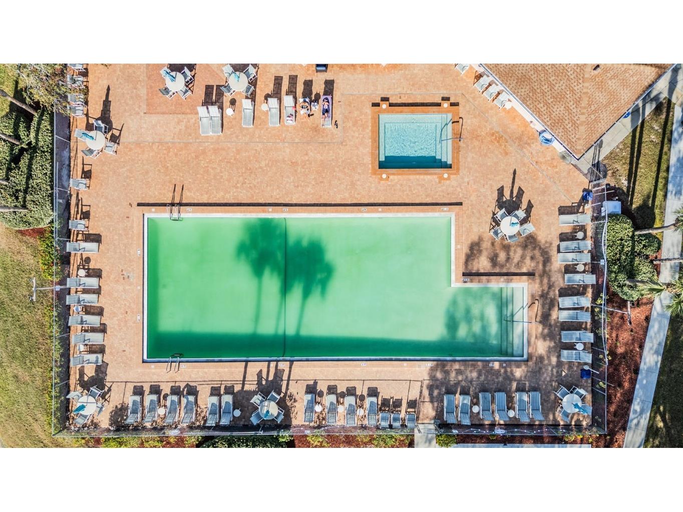 6338 Spring Flower Drive #21 New Port Richey FL 34653 TB8460246 image33