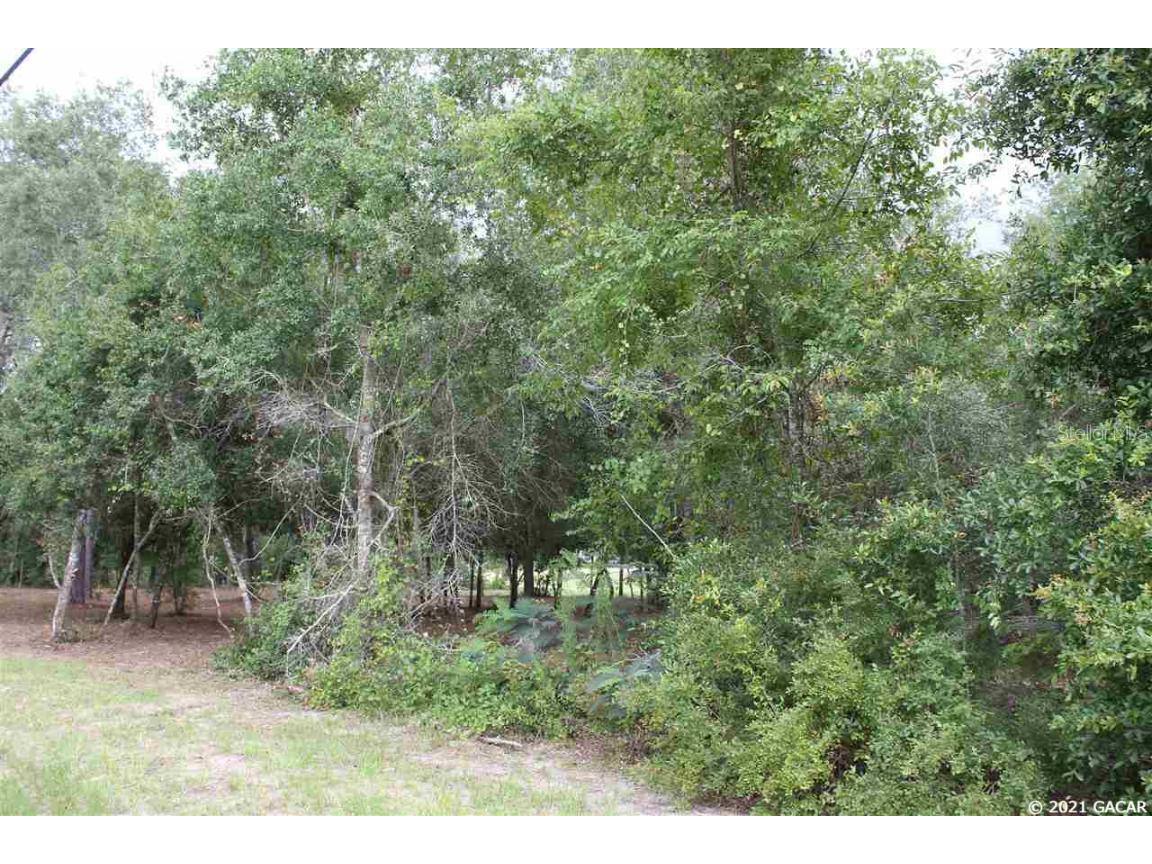 6339 Beloit Avenue Keystone Heights FL 32656 GC446345 image1