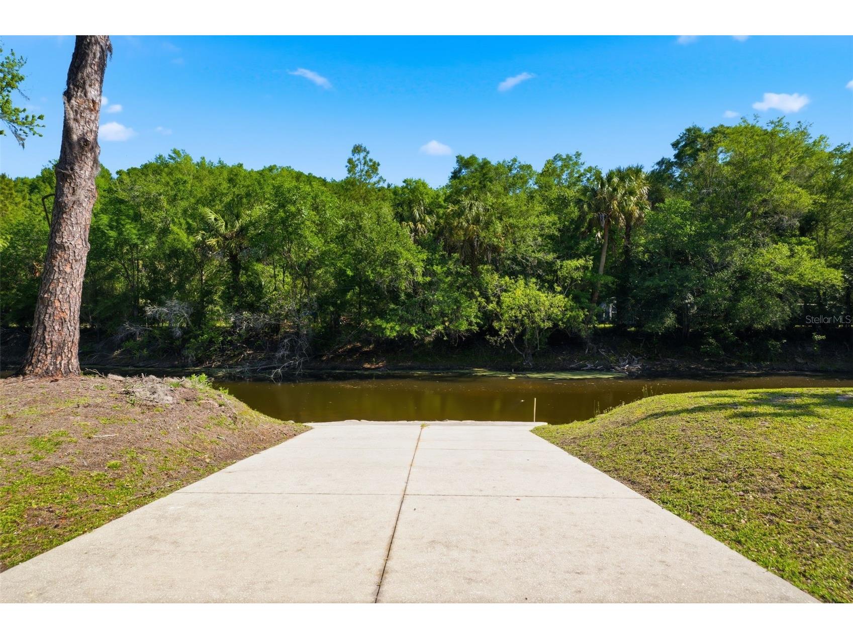 6339 E River Road Hernando FL 34442 - WITHALACOOCHIE W7885066 image3