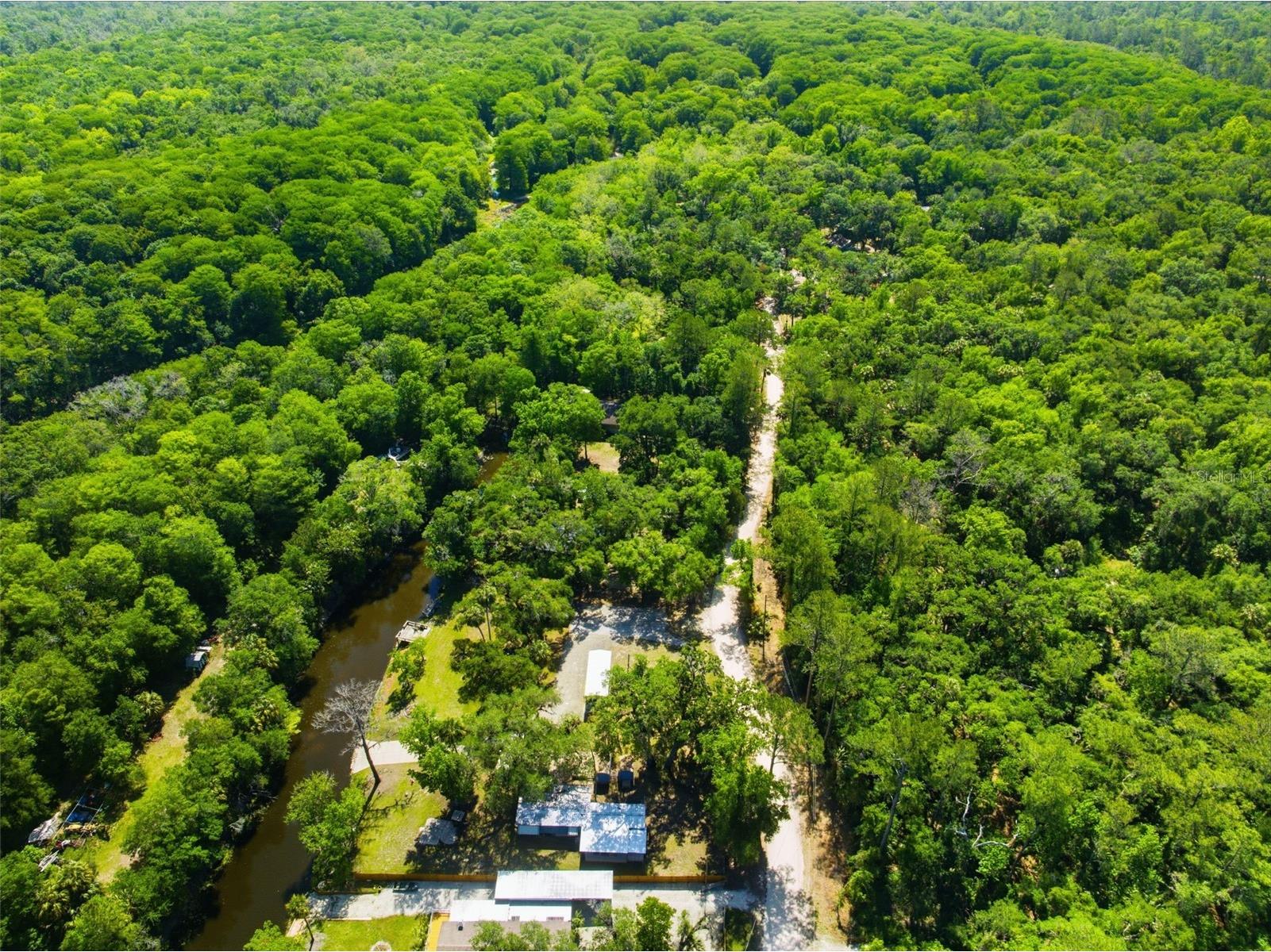 6339 E River Road Hernando FL 34442 - WITHALACOOCHIE W7885066 image35
