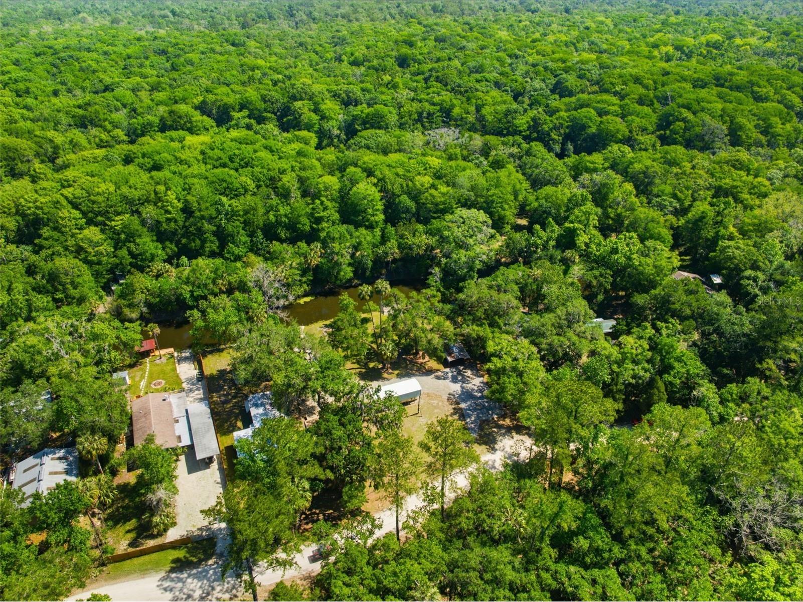 6339 E River Road Hernando FL 34442 - WITHALACOOCHIE W7885066 image56