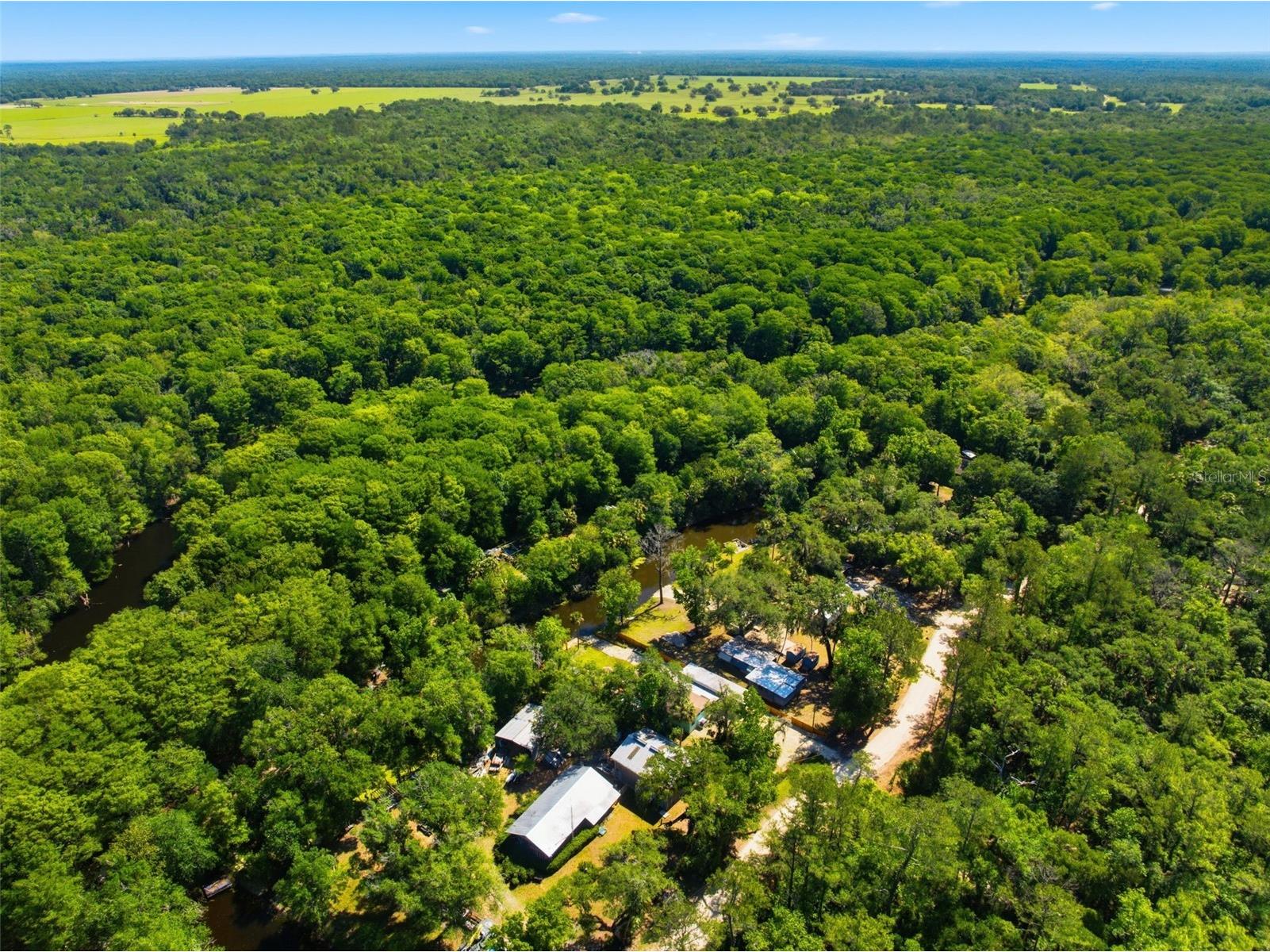 6339 E River Road Hernando FL 34442 - WITHALACOOCHIE W7885066 image59