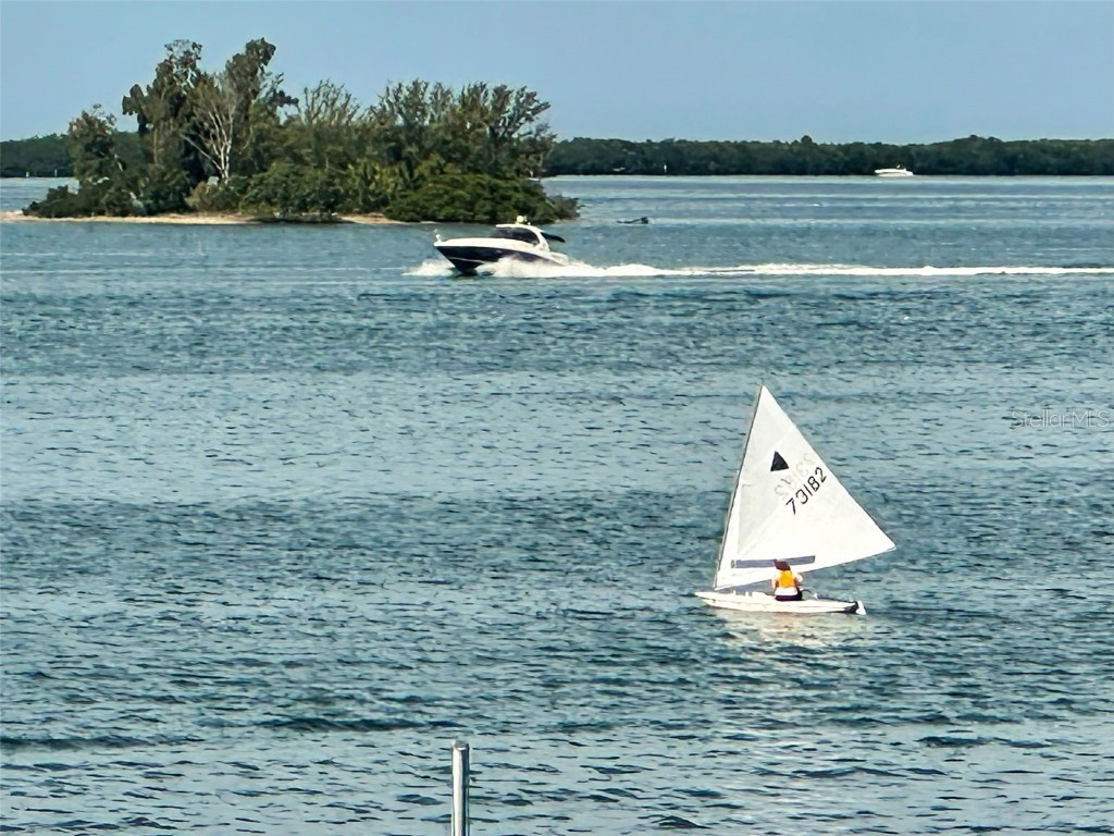 634 Edgewater Drive #348 Dunedin FL 34698 TB8446572 image5