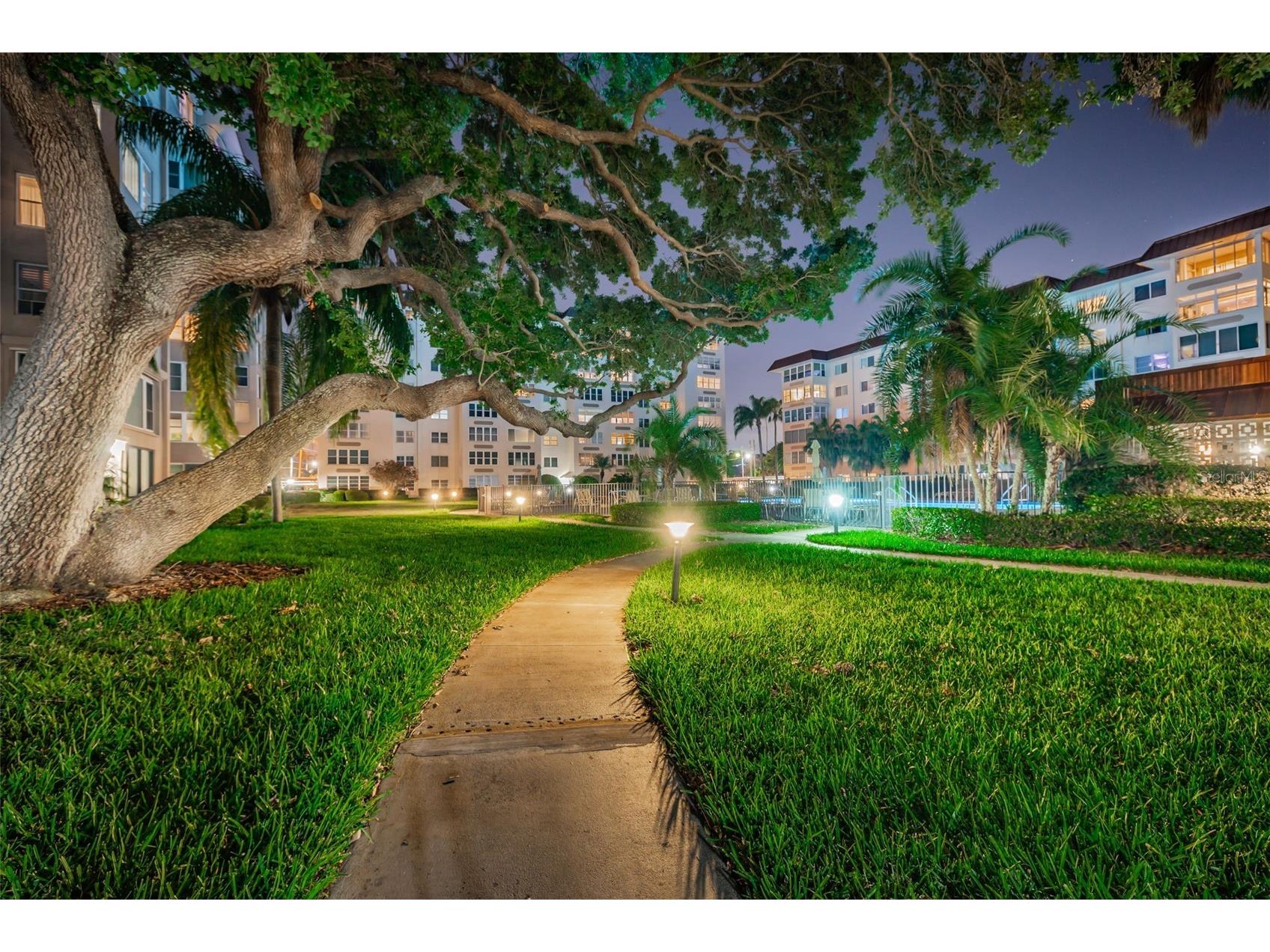 634 Edgewater Drive #447 Dunedin FL 34698 - INTRACOASTAL WATERWAY TB8442046 image24