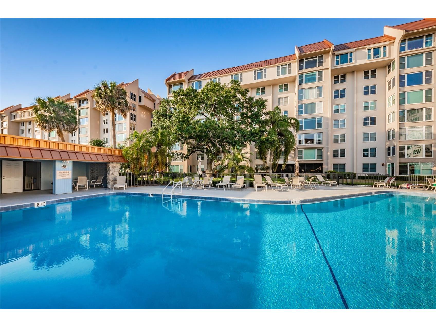 634 Edgewater Drive #447 Dunedin FL 34698 - INTRACOASTAL WATERWAY TB8442046 image26