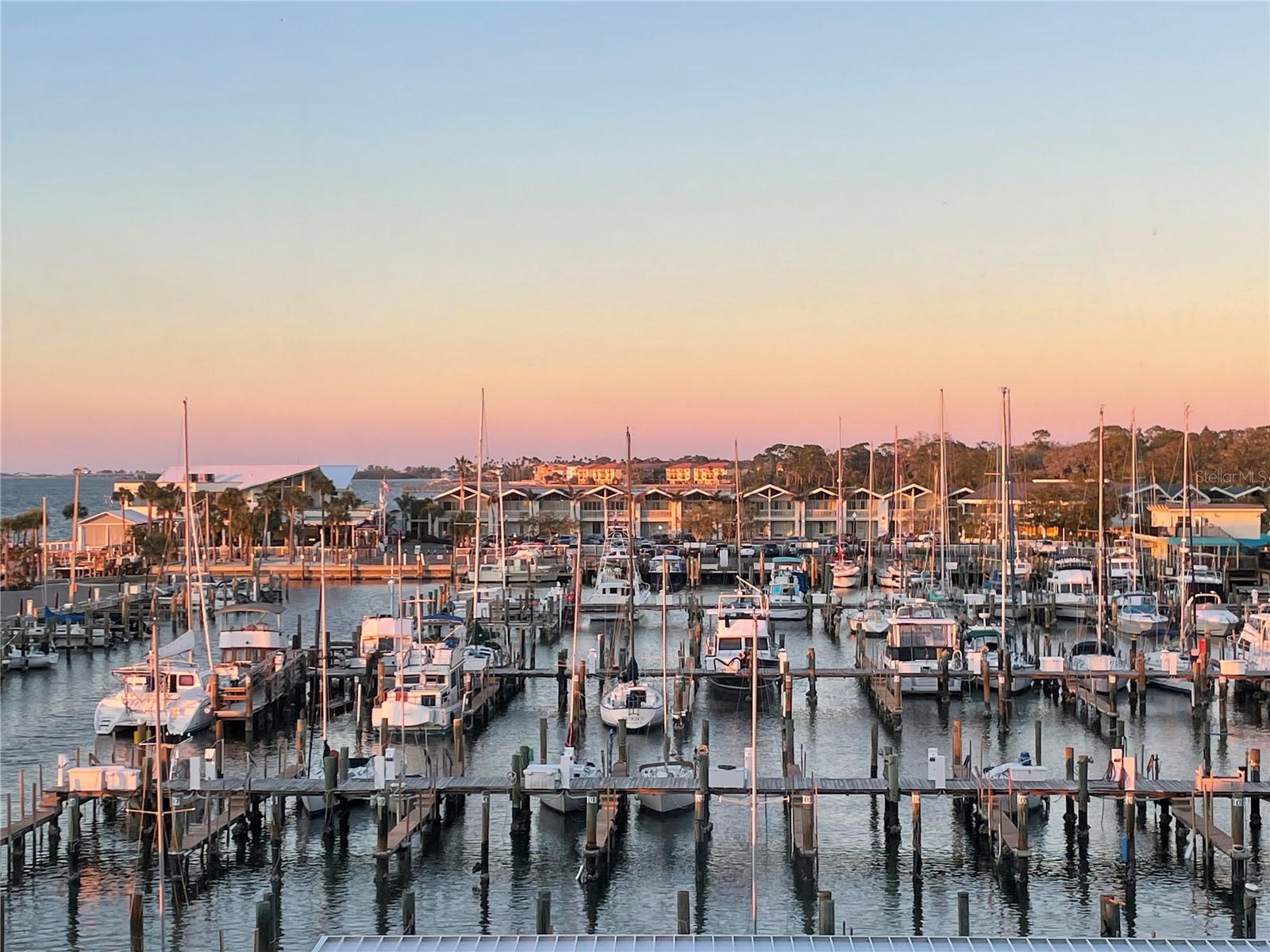 634 Edgewater Drive #447 Dunedin FL 34698 - INTRACOASTAL WATERWAY TB8442046 image3