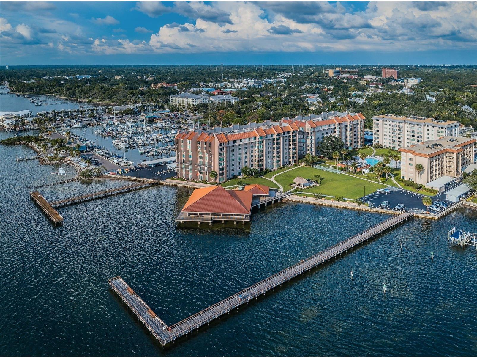 634 Edgewater Drive #447 Dunedin FL 34698 - INTRACOASTAL WATERWAY TB8442046 image30