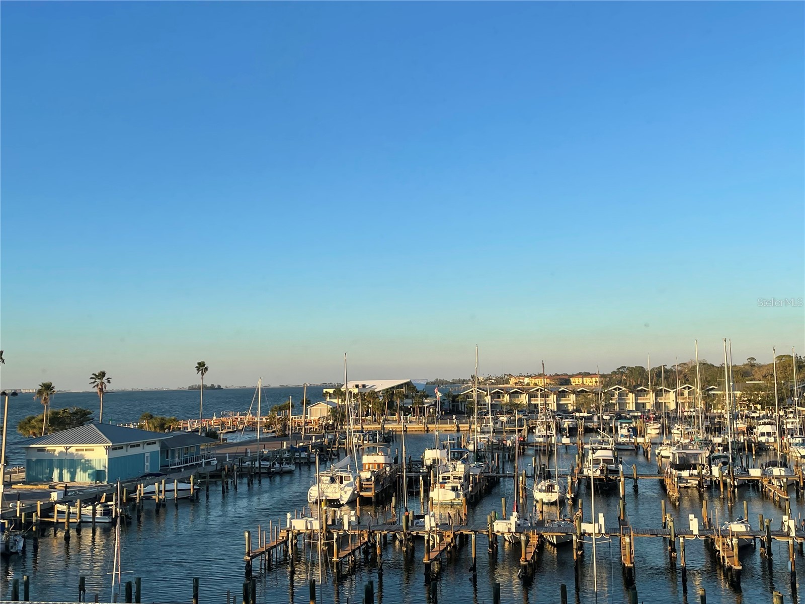 634 Edgewater Drive #447 Dunedin FL 34698 - INTRACOASTAL WATERWAY TB8442046 image31