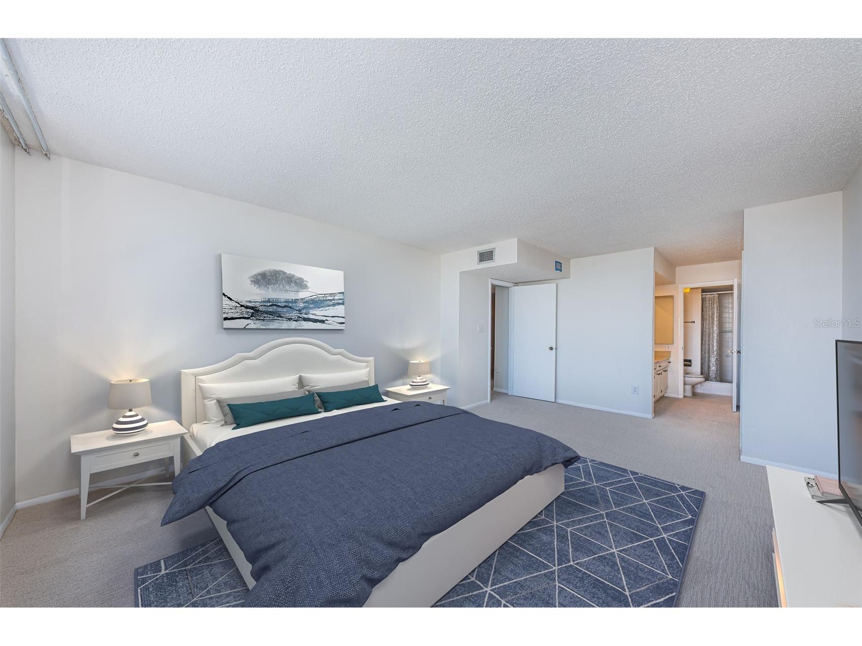 634 Edgewater Drive #849 Dunedin FL 34698 TB8465503 image20