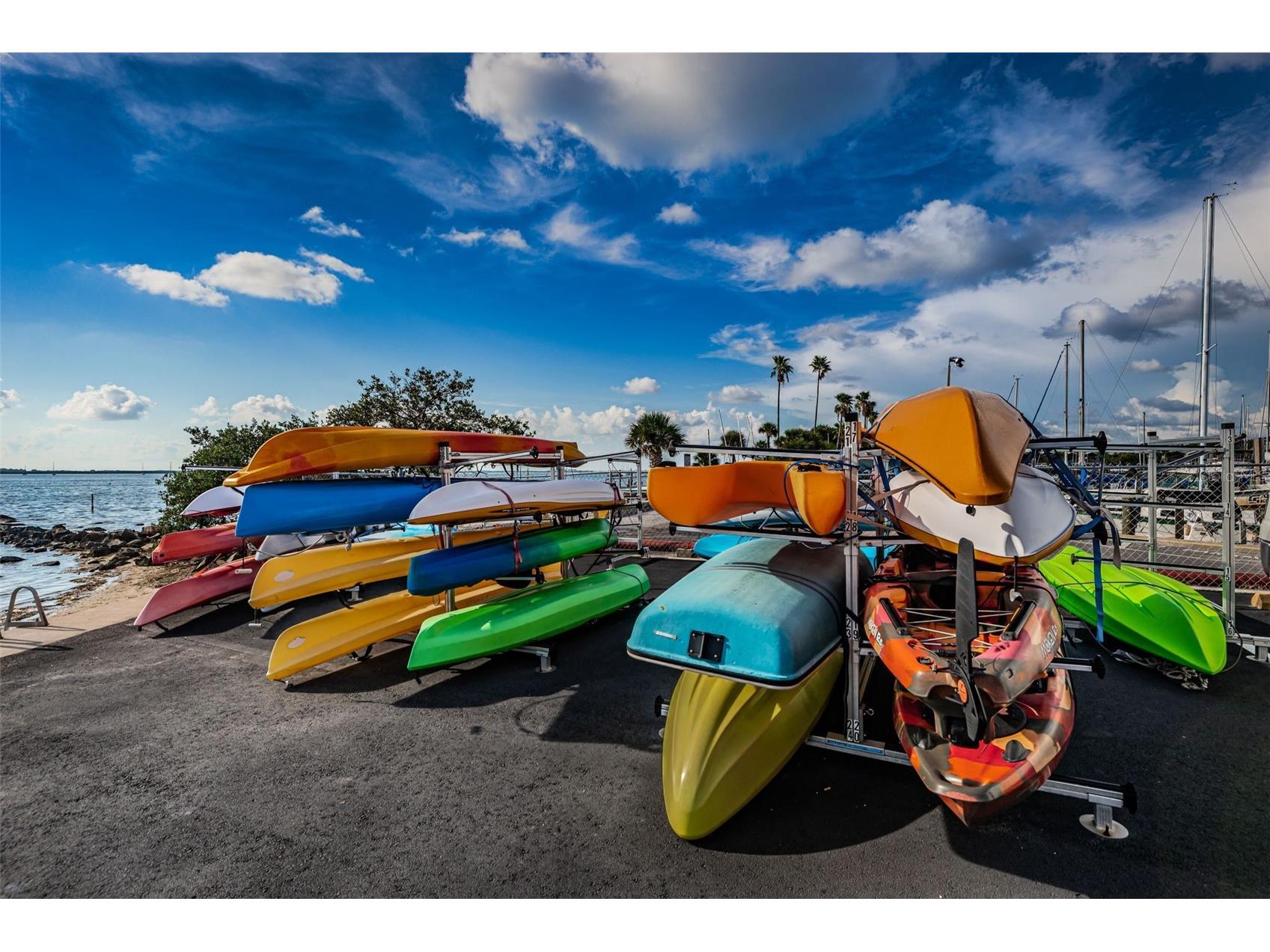634 Edgewater Drive #849 Dunedin FL 34698 TB8465503 image39