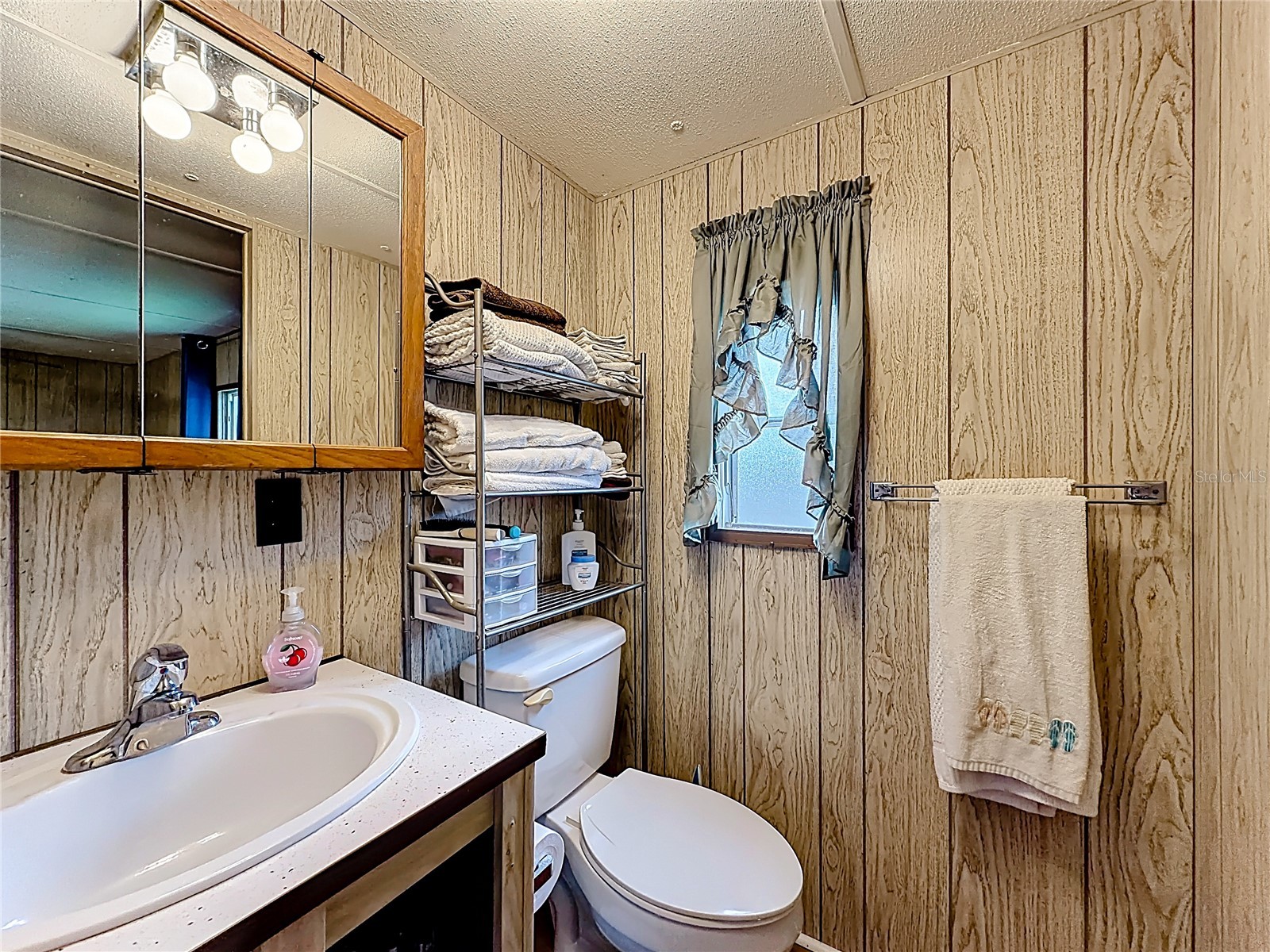 634 Misti Drive Leesburg FL 34788 G5110425 image22