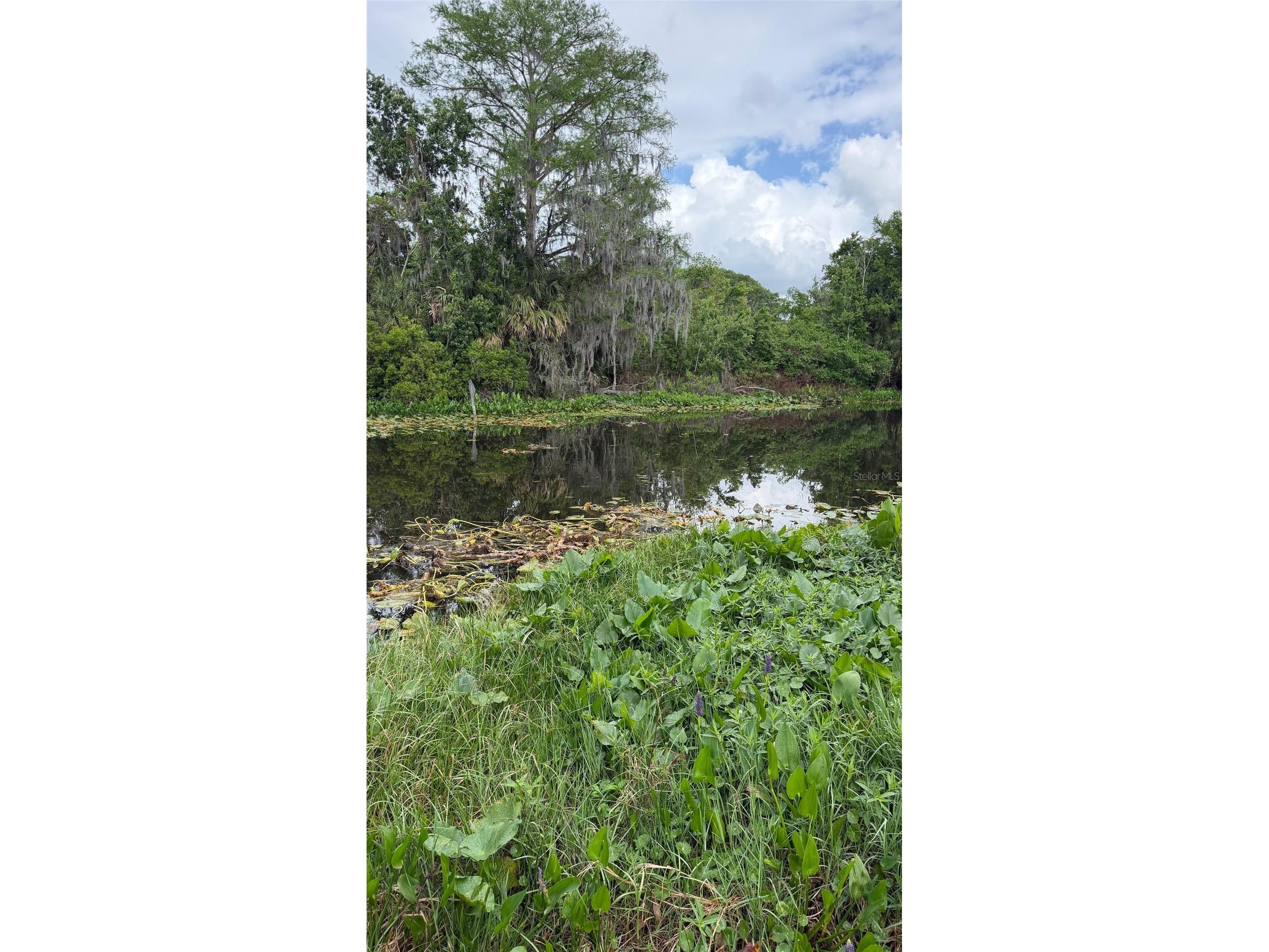 634 Misti Drive Leesburg FL 34788 G5110425 image44