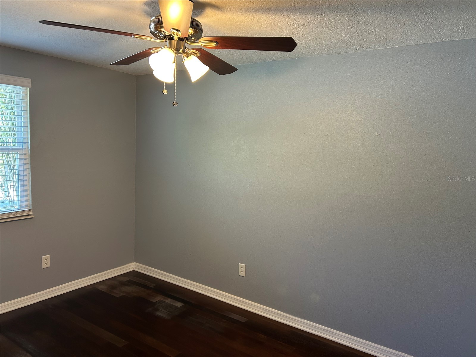 634 Timber Bay Circle W Oldsmar FL 34677 TB8489706 image14