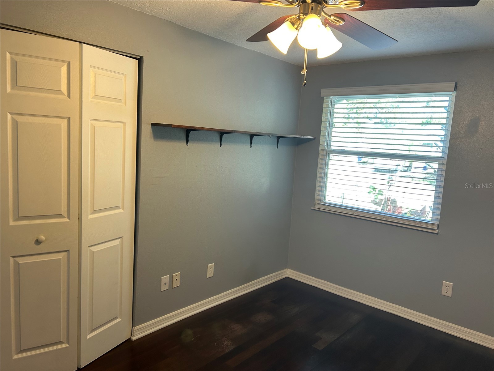 634 Timber Bay Circle W Oldsmar FL 34677 TB8489706 image15