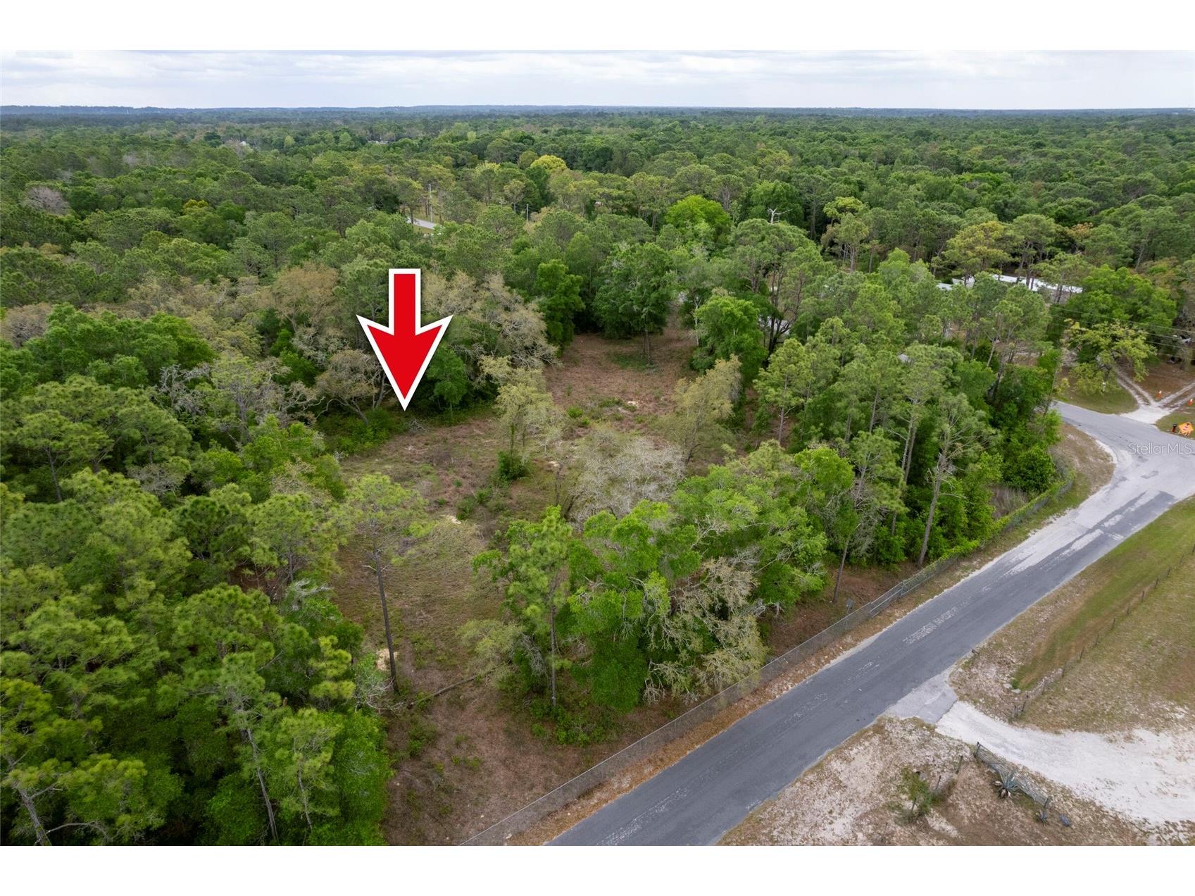 6340 Arizona Street Brooksville FL 34604 TB8495113 image3