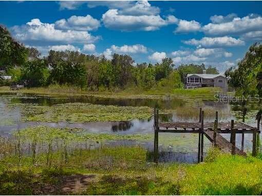 6340 Land O Lakes Land O Lakes FL 34638 - TREASURE LAKE A4680451 image2