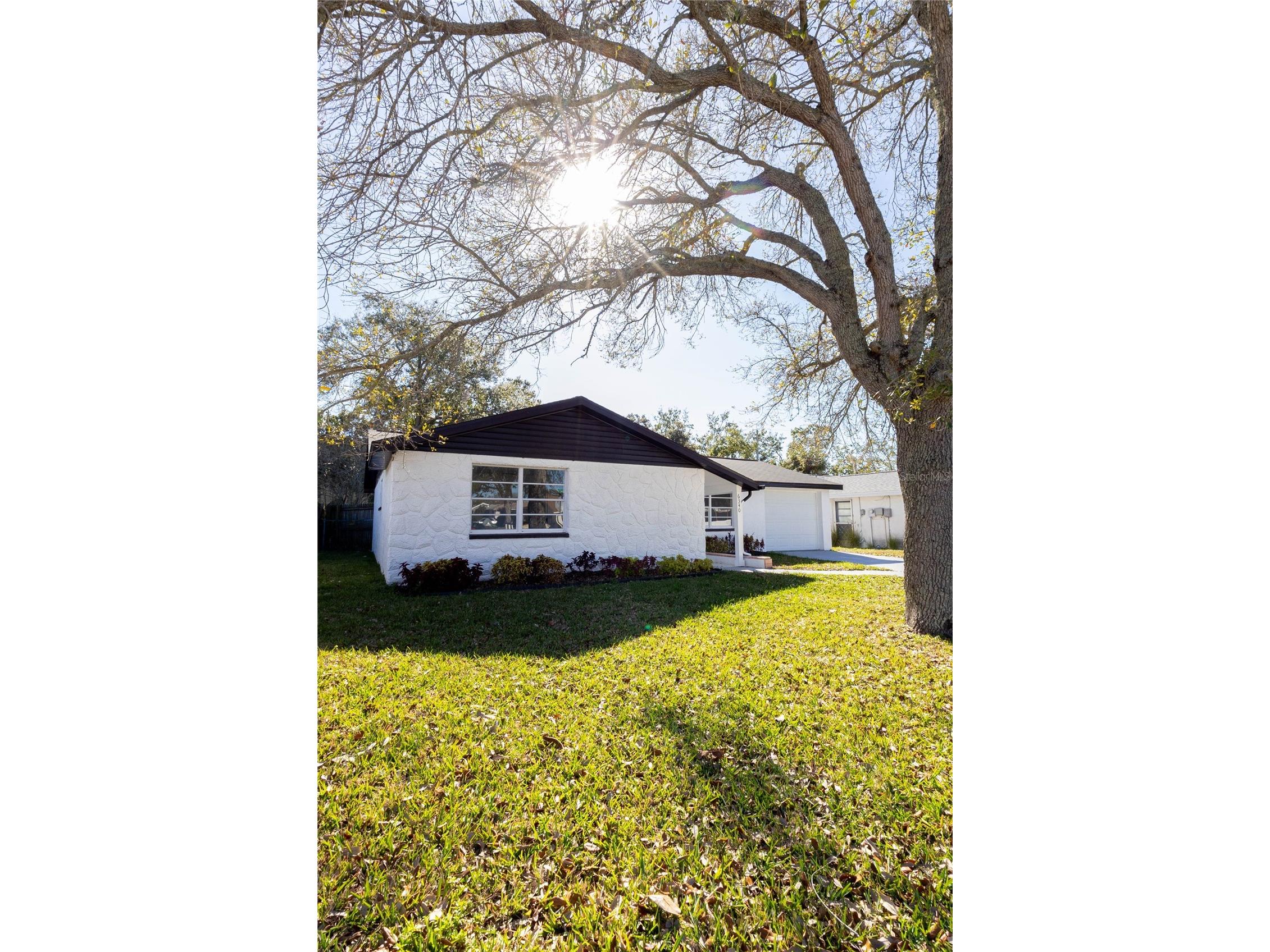 6340 Westport Drive Port Richey FL 34668 TB8465734 image6