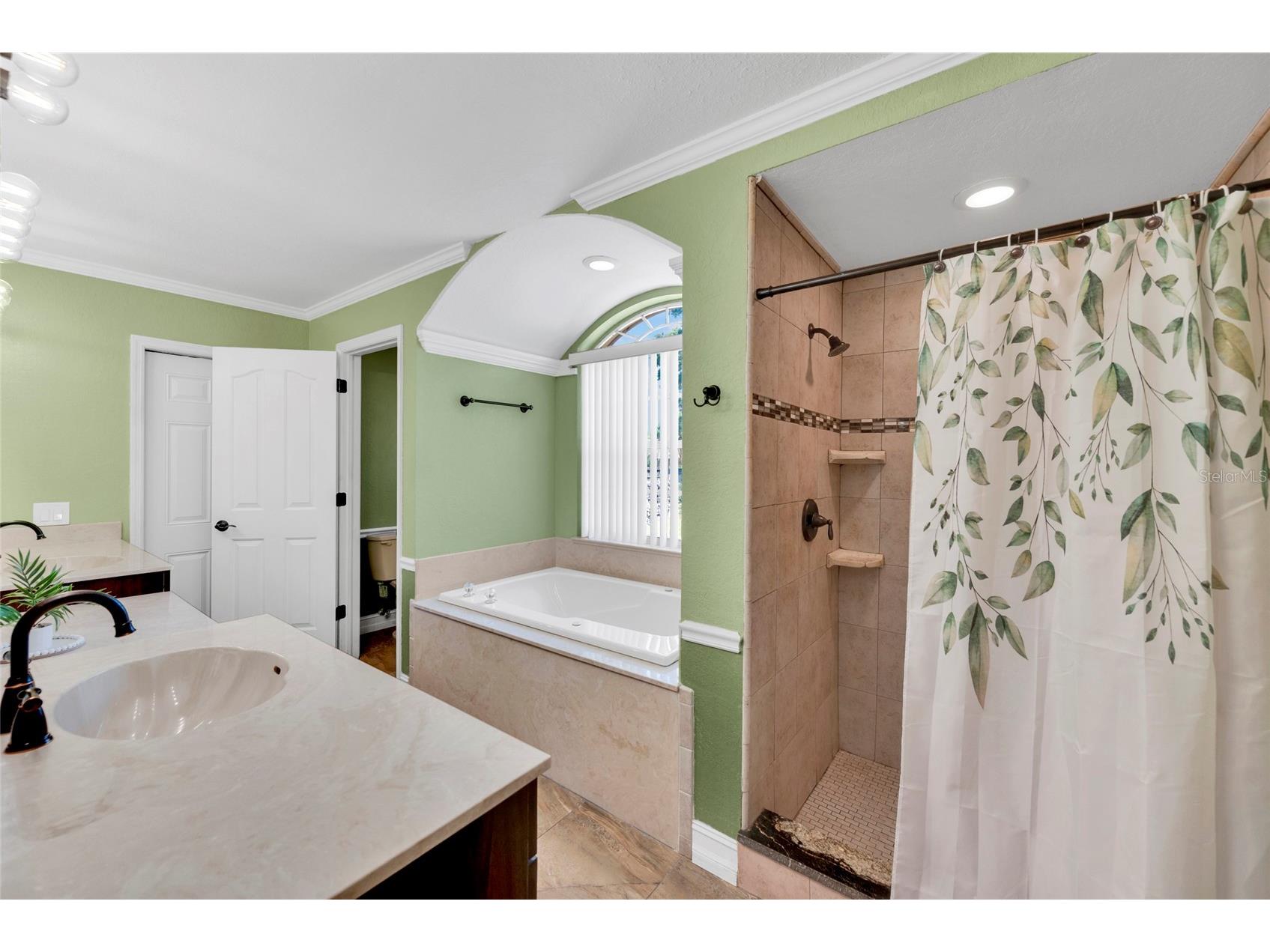 6341 Governors Drive New Port Richey FL 34655 TB8510387 image32