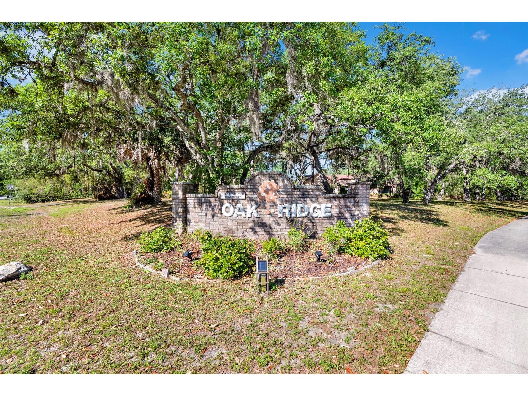 6341 Governors Drive New Port Richey FL 34655 TB8510387 image57