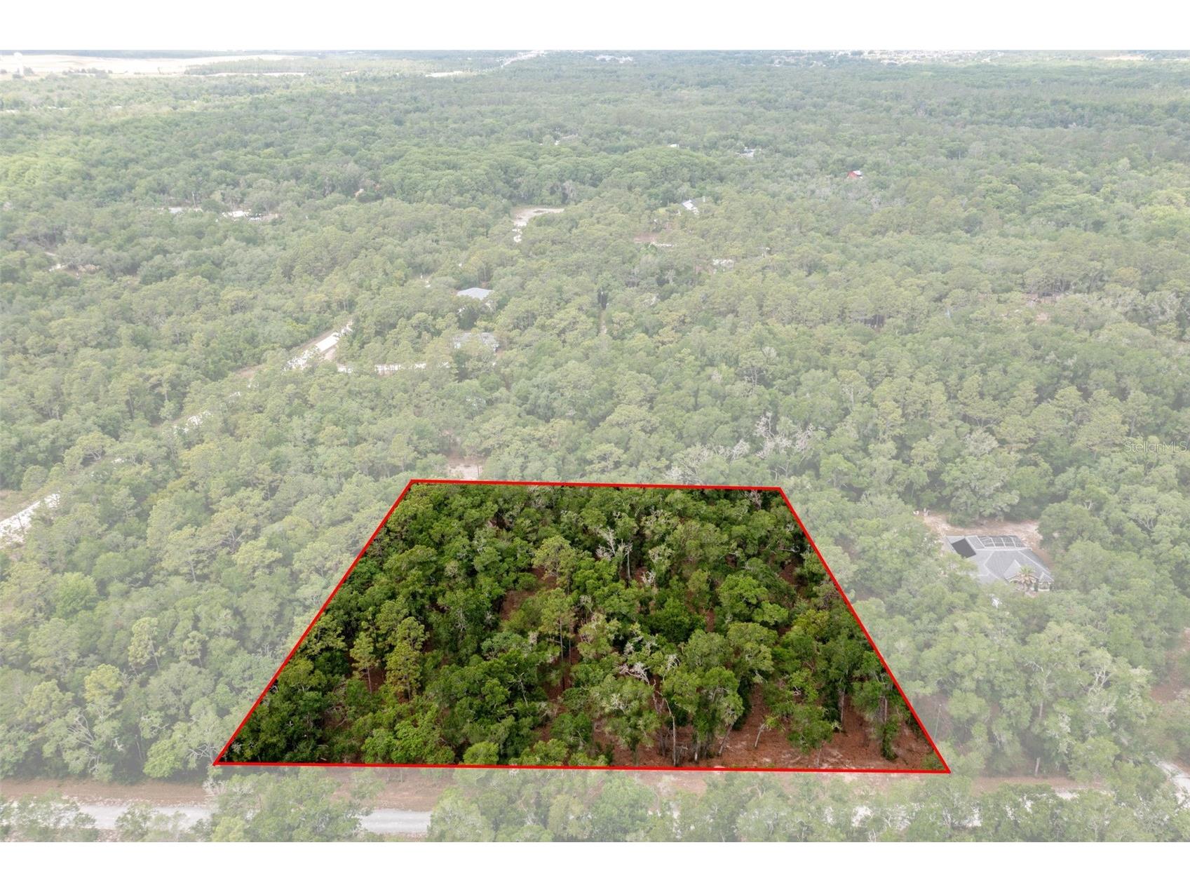 6341 Nile Avenue Webster FL 33597 W7885468 image1