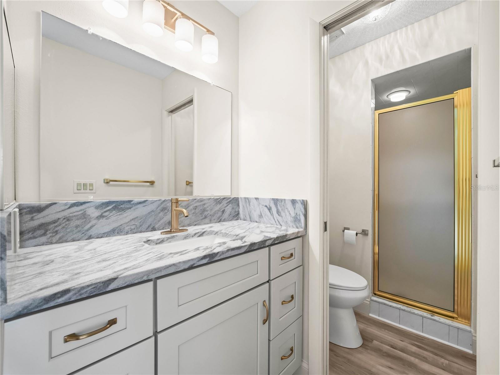 6341 Silver Lakes Drive W Lakeland FL 33810 L4955861 image11