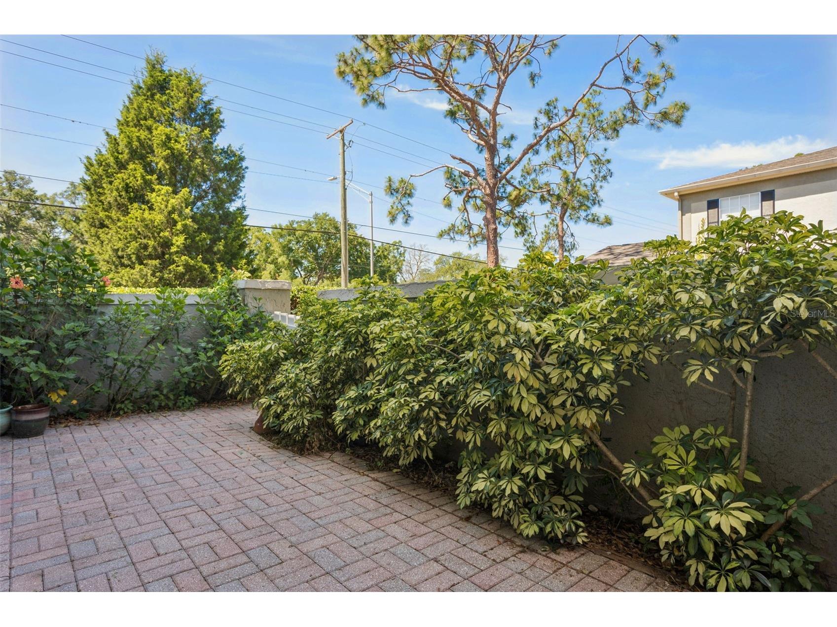 6341 Treetop Circle #6341 Temple Terrace FL 33617 TB8502695 image19