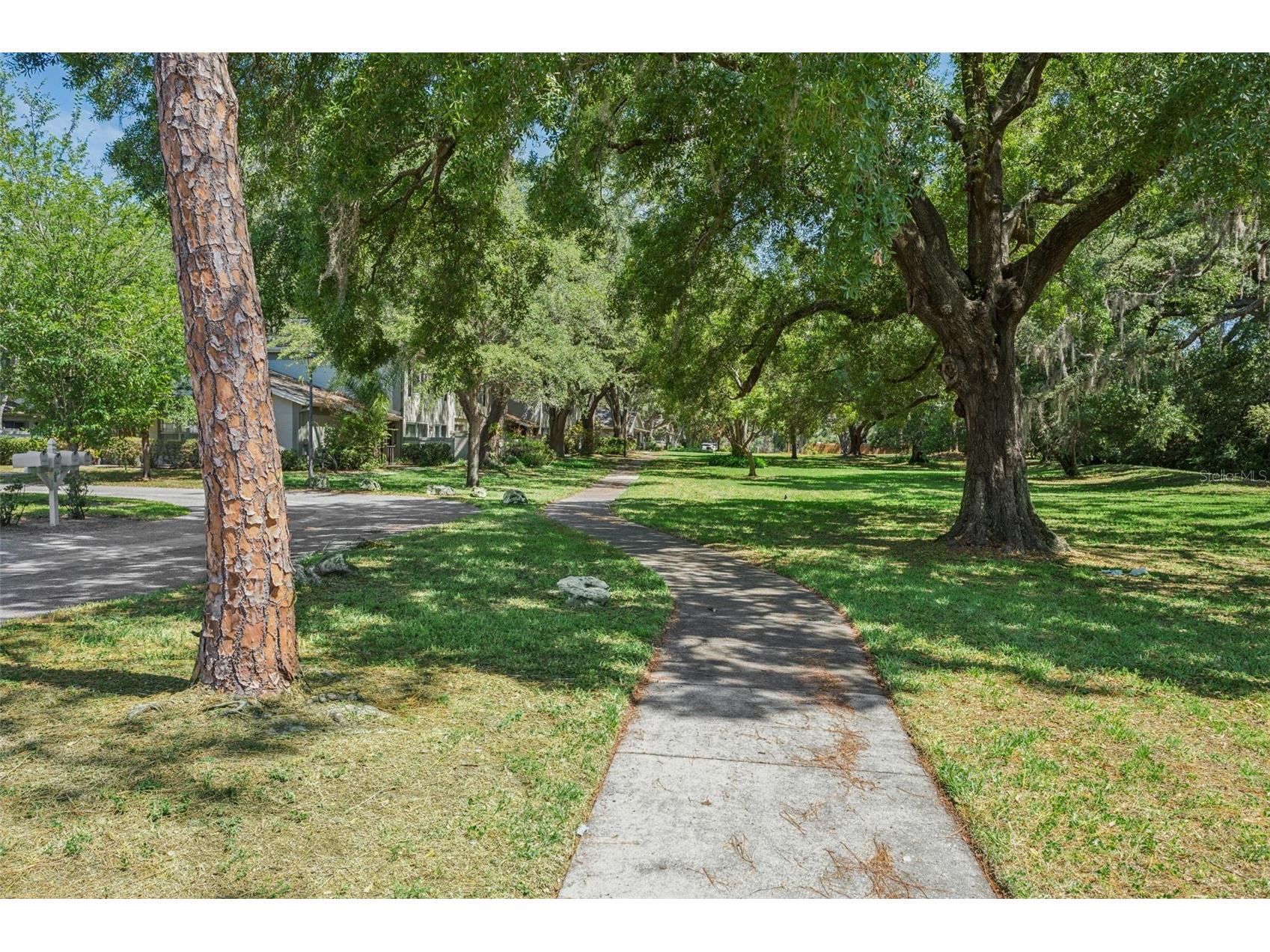 6341 Treetop Circle #6341 Temple Terrace FL 33617 TB8502695 image23