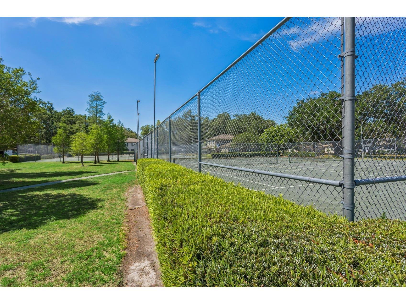 6341 Treetop Circle #6341 Temple Terrace FL 33617 TB8502695 image24