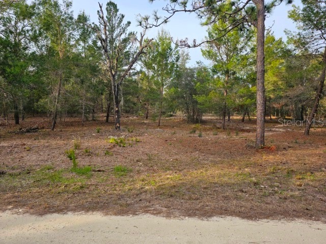 6341 W Stockholm Lane Dunnellon FL 34433 OM717475 image1