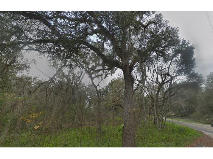 6343 Baker Road Keystone Heights FL 32656 A4674905 image2