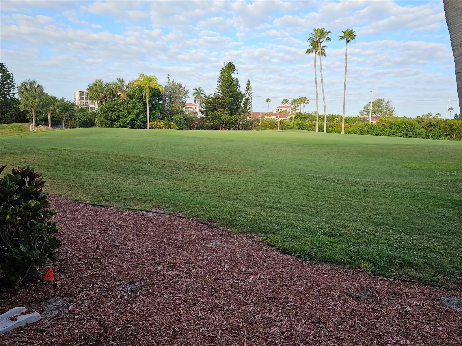 6343 Palma Del Mar Boulevard S #126 Saint Petersburg FL 33715 TB8498887 image25