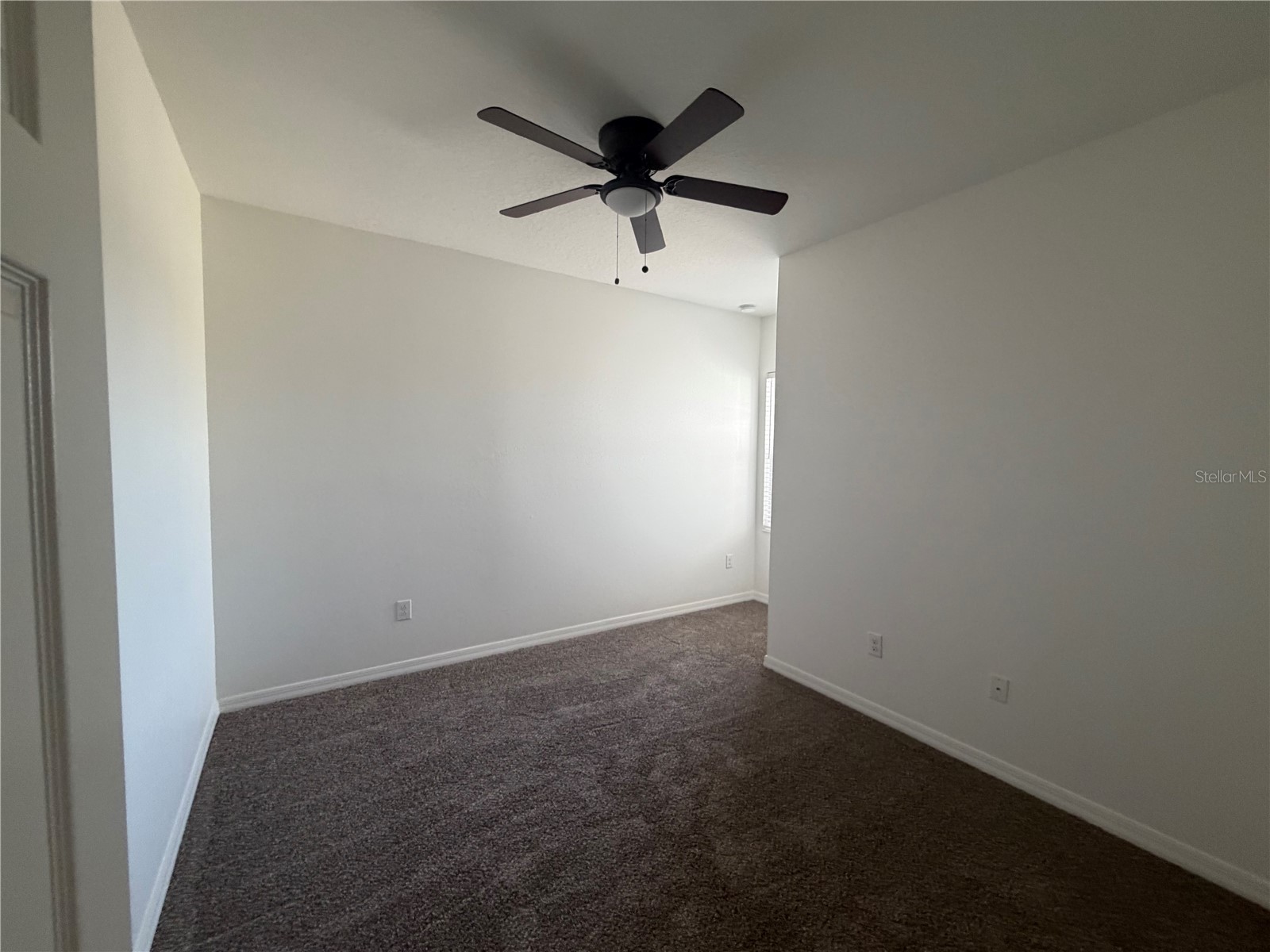 6344 Camino Drive Apollo Beach FL 33572 TB8519215 image11