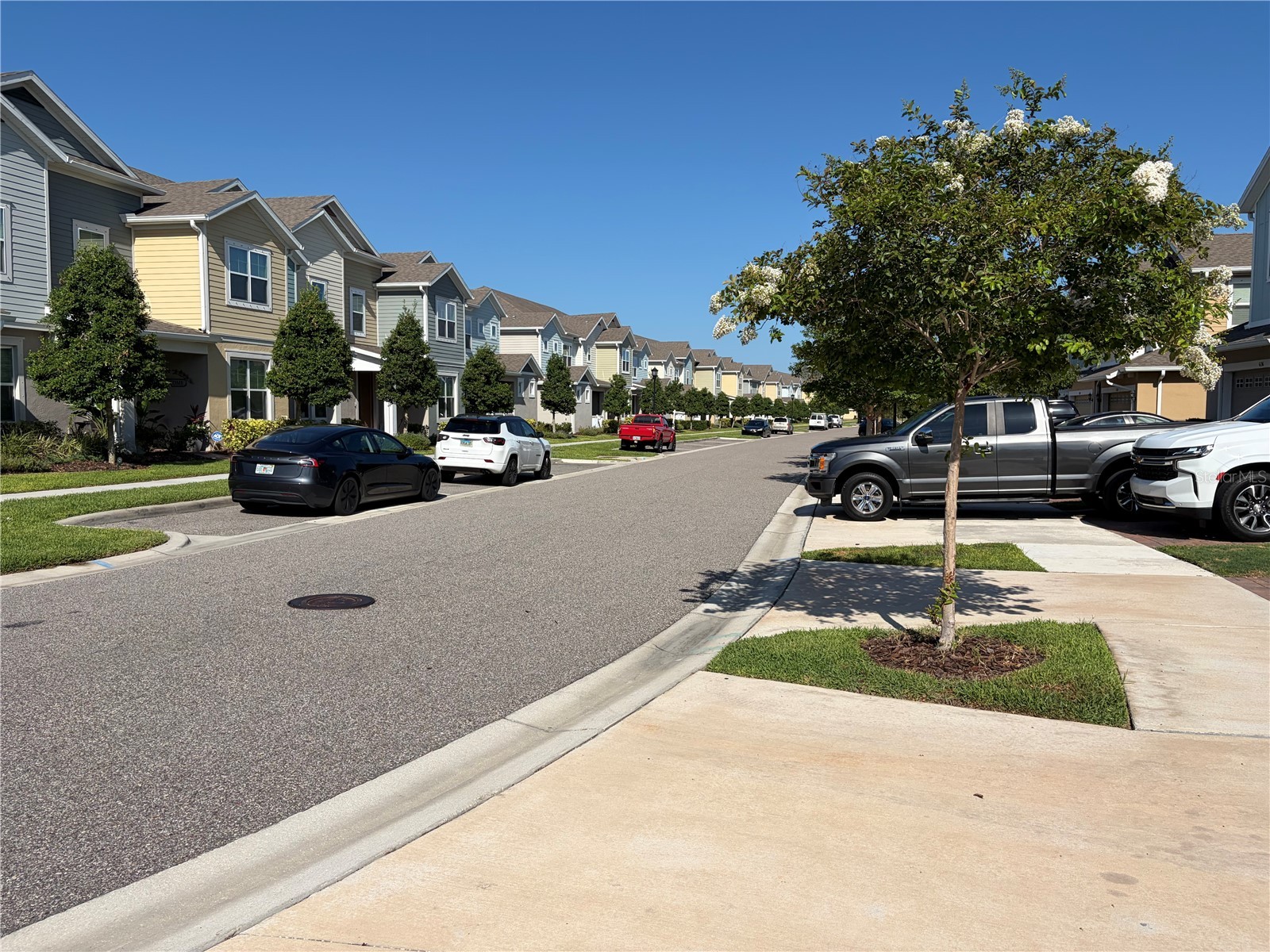 6344 Camino Drive Apollo Beach FL 33572 TB8519215 image18