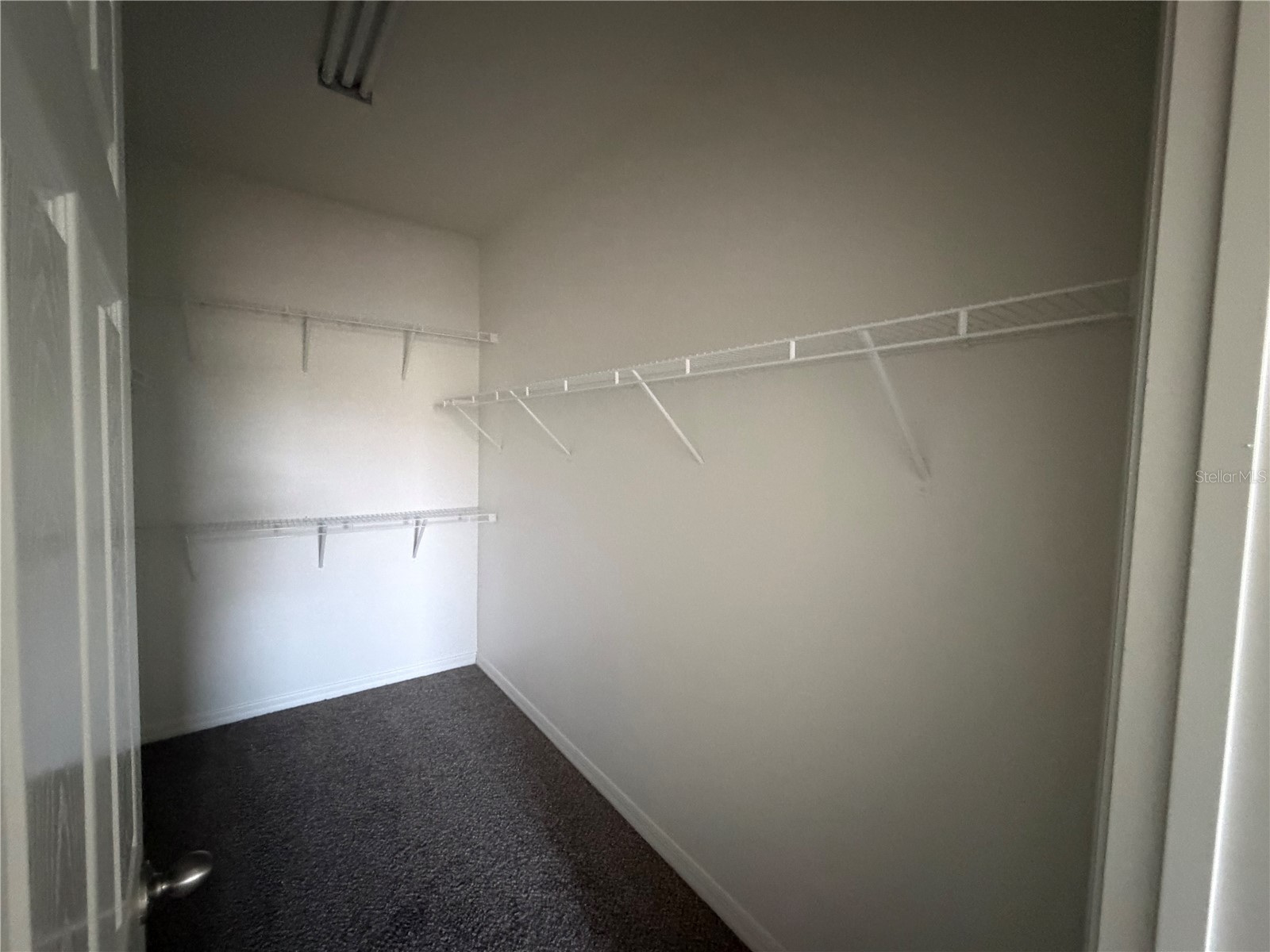 6344 Camino Drive Apollo Beach FL 33572 TB8519215 image8