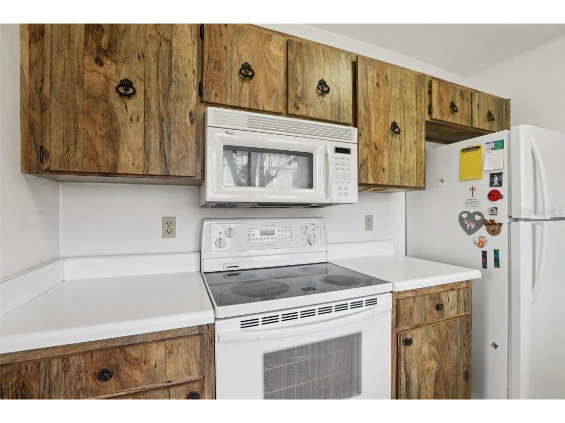 6345 Bentbranch Court Temple Terrace FL 33617 TB8454047 image19