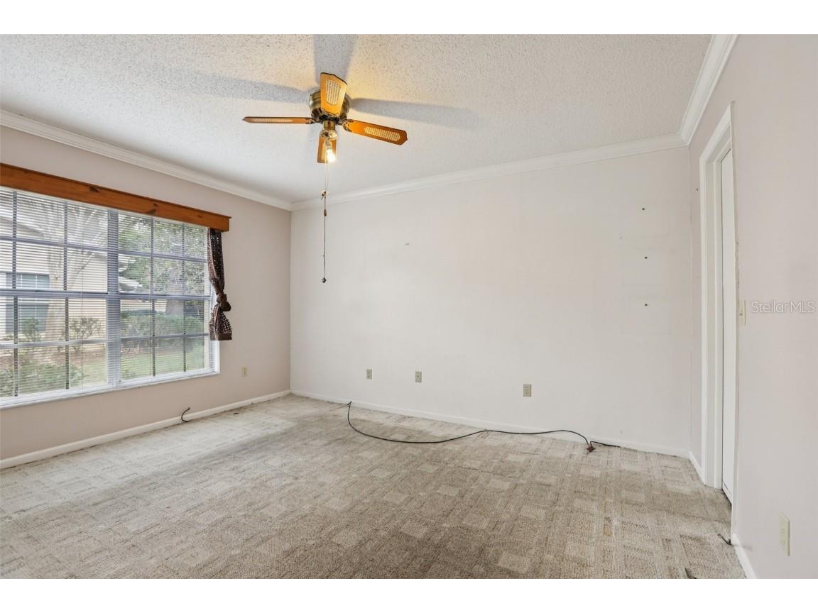 6345 Bentbranch Court Temple Terrace FL 33617 TB8454047 image21