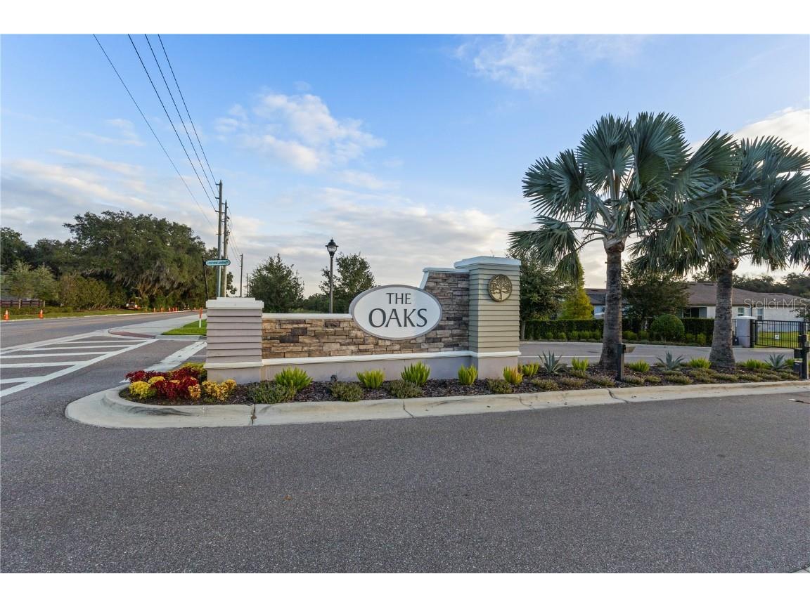 6345 Bradford Woods Drive Zephyrhills FL 33542 TB8412669 image37