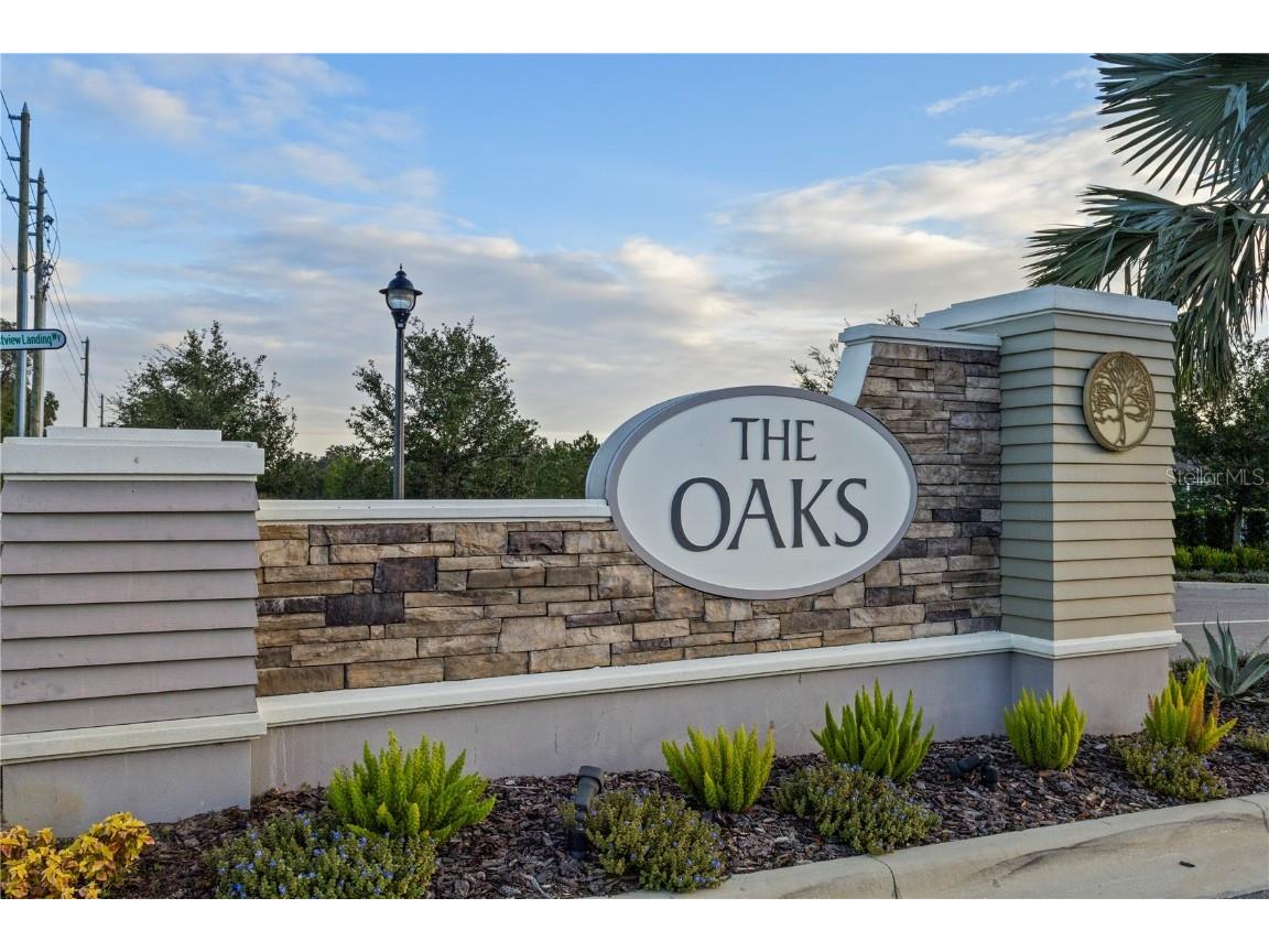 6345 Bradford Woods Drive Zephyrhills FL 33542 TB8412669 image38